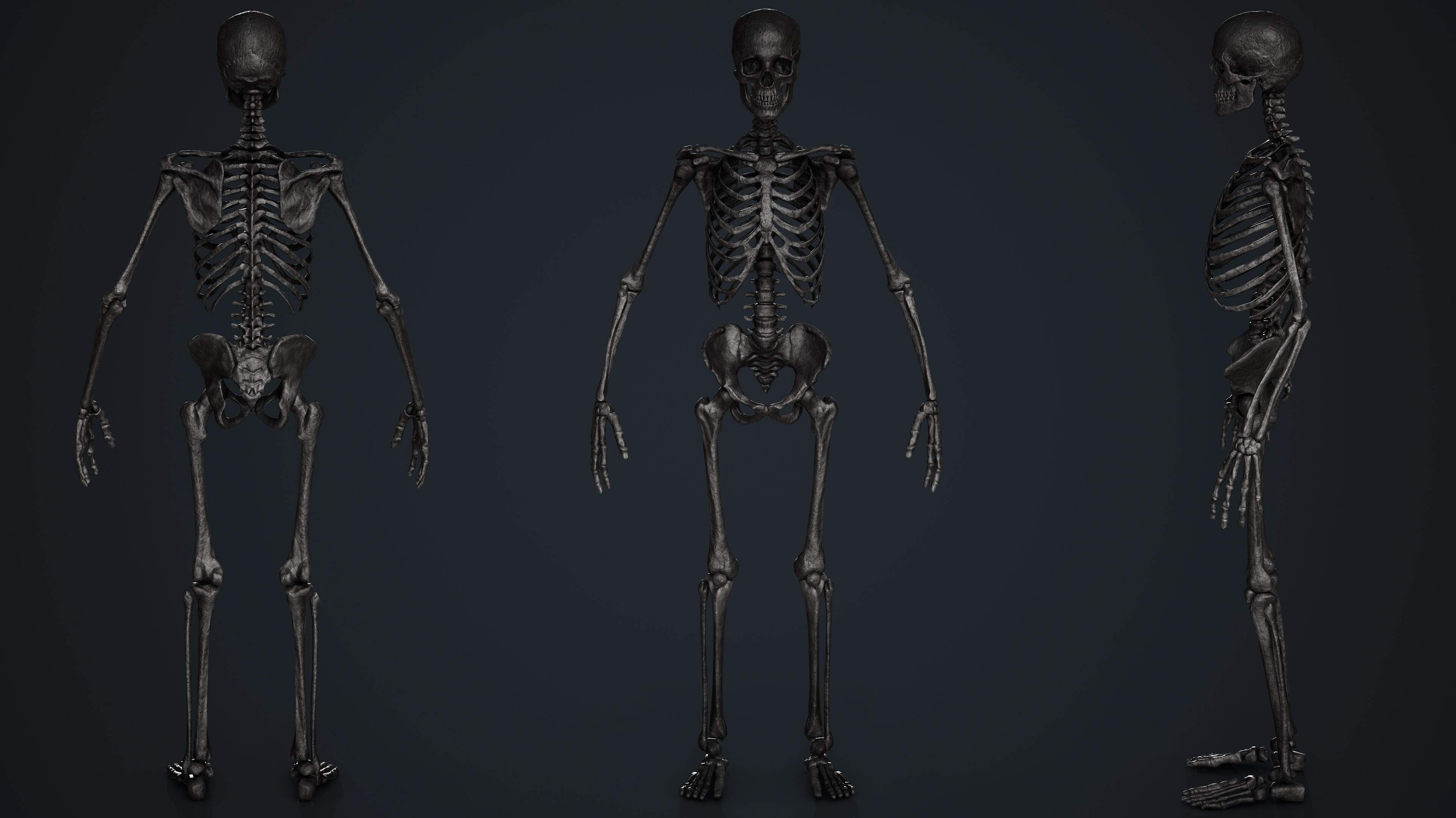 Skeleton Low-poly 3D model_10