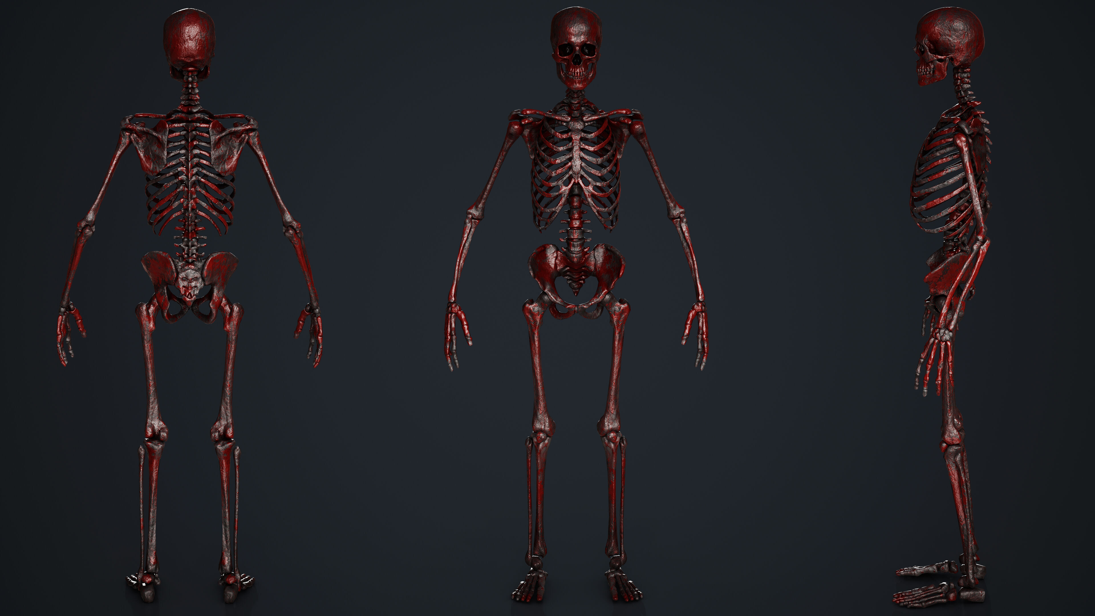 Skeleton Low-poly 3D model_11