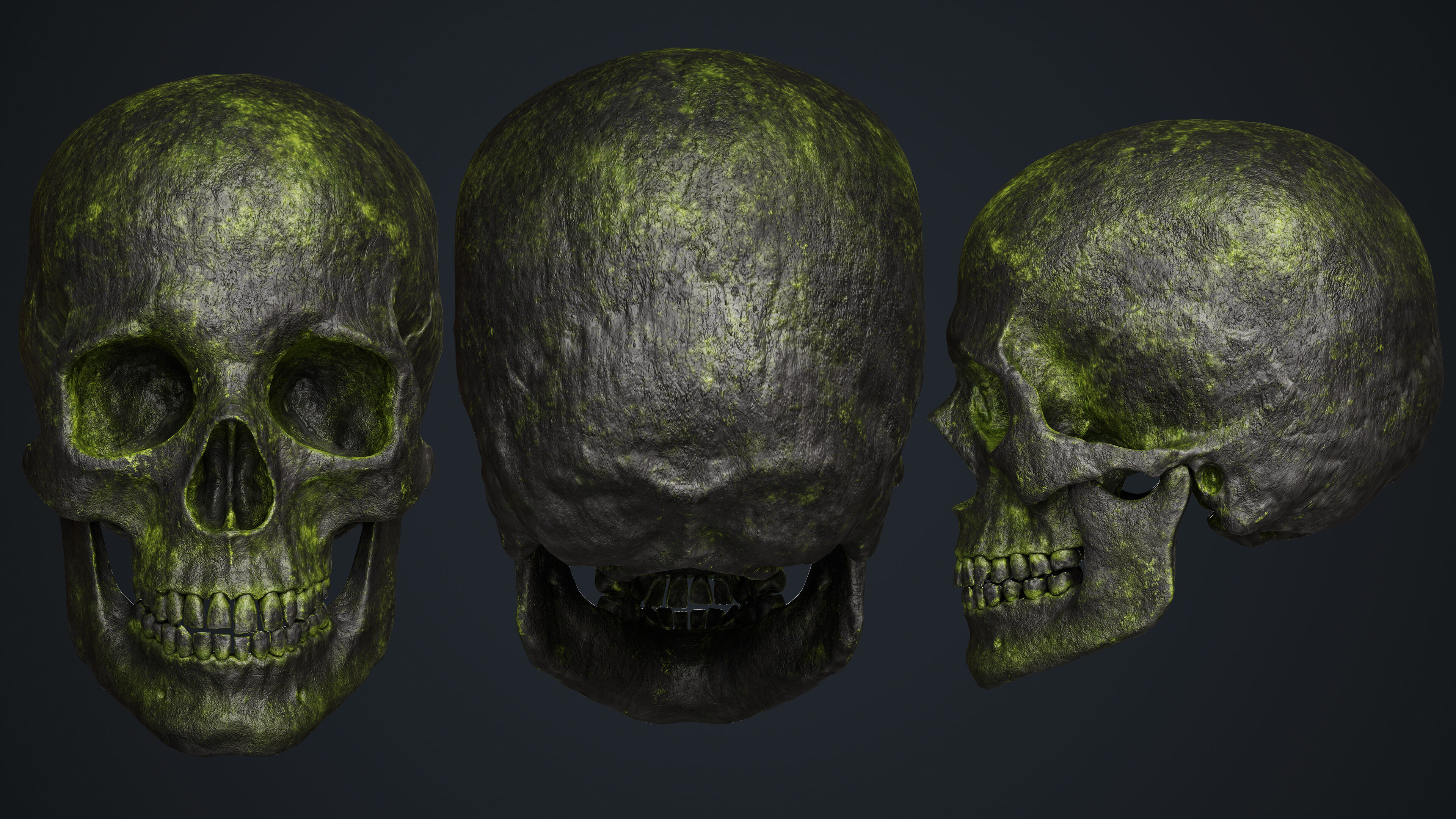 Skeleton Low-poly 3D model_19