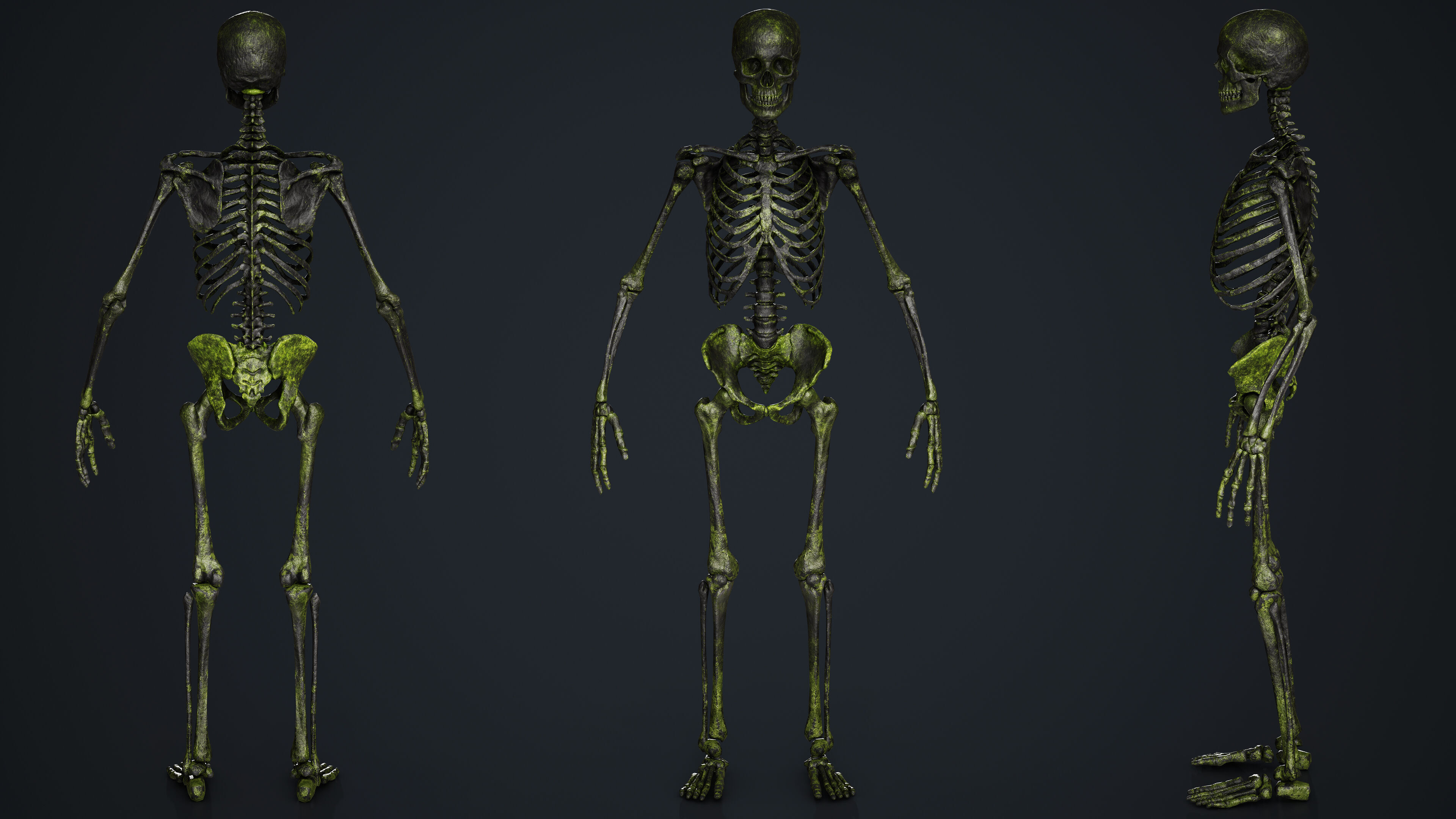 Skeleton Low-poly 3D model_12