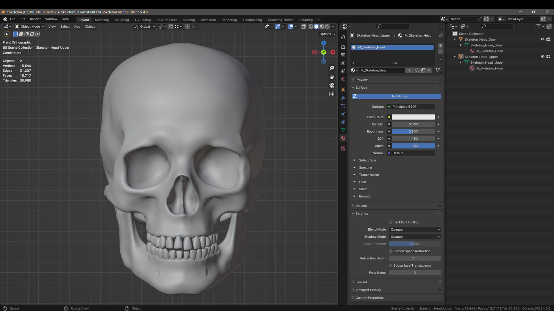 Skeleton Low-poly 3D model_21