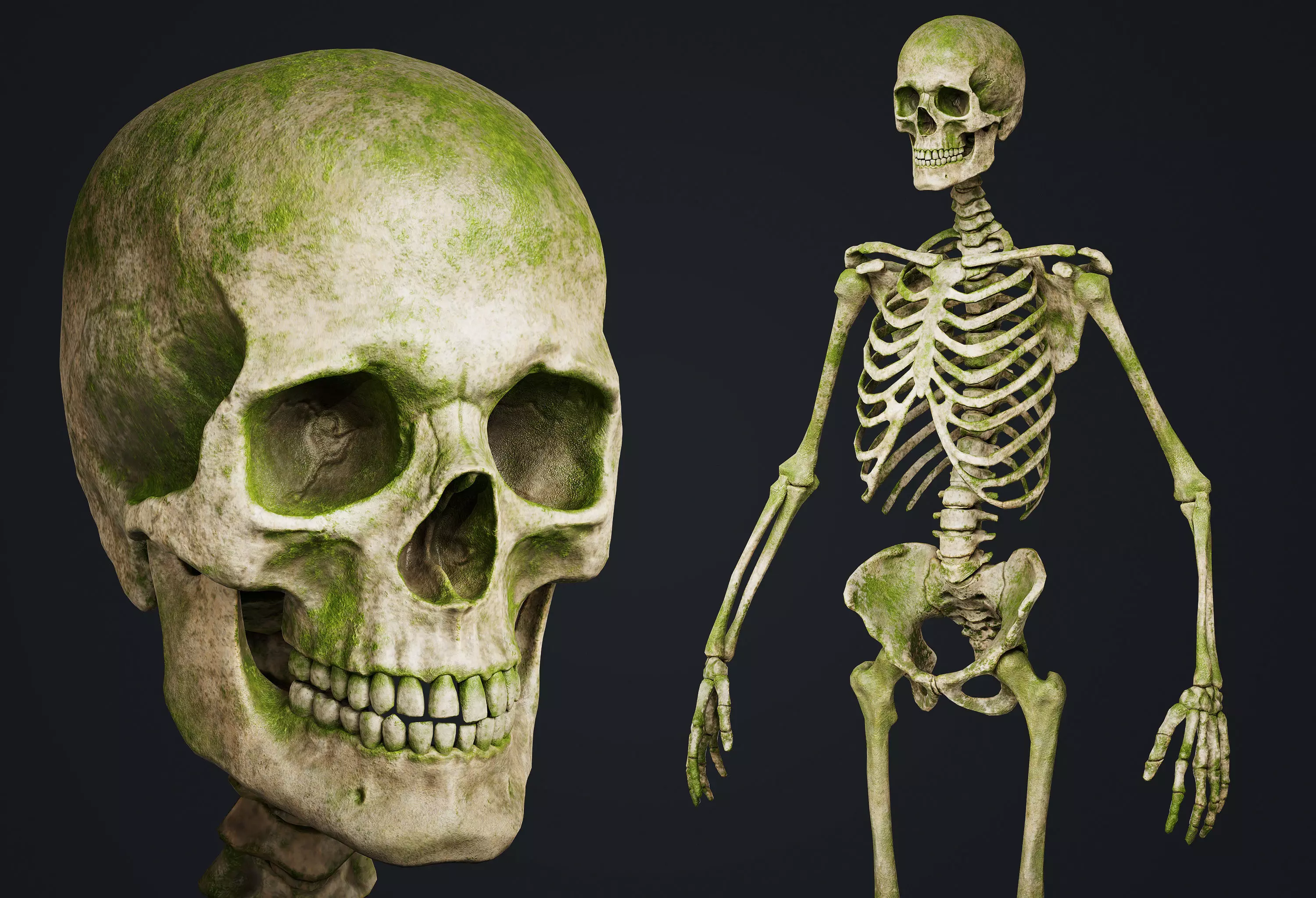 Skeleton Low-poly 3D model_0