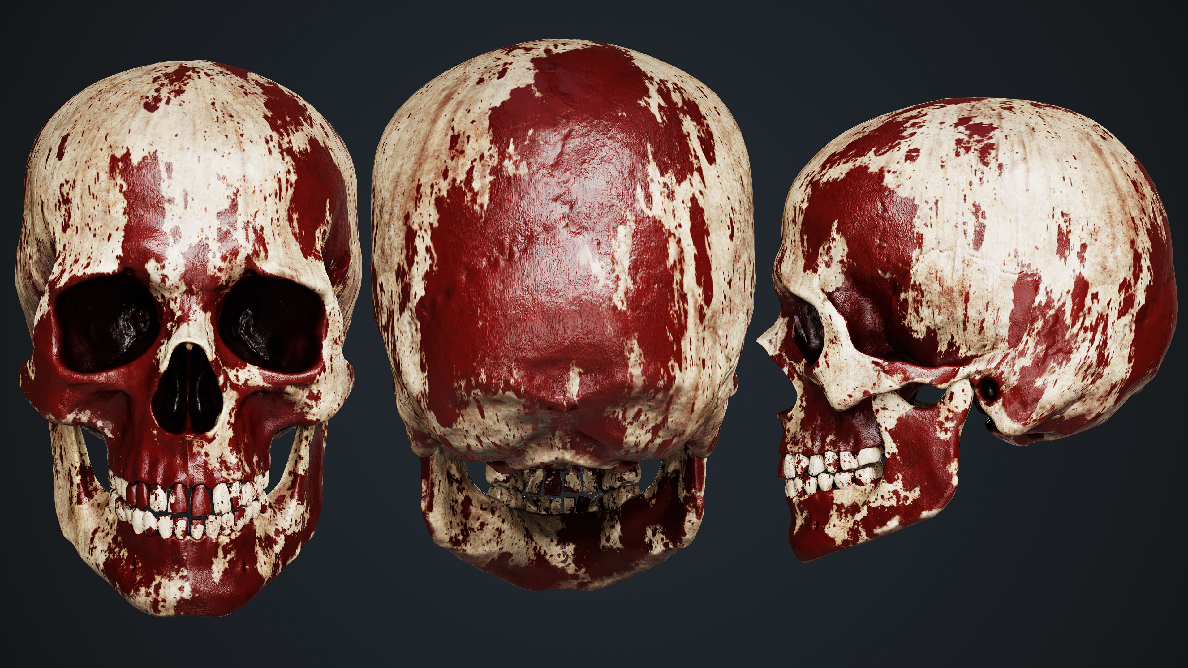 Skeleton Low-poly 3D model_16