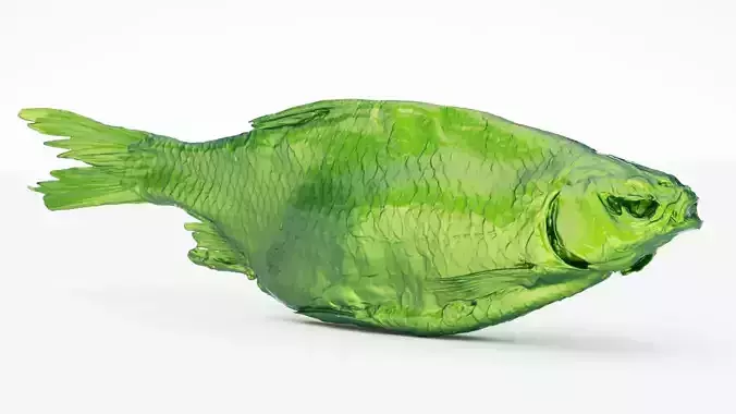 Dried roach fish 3d scan 3D model