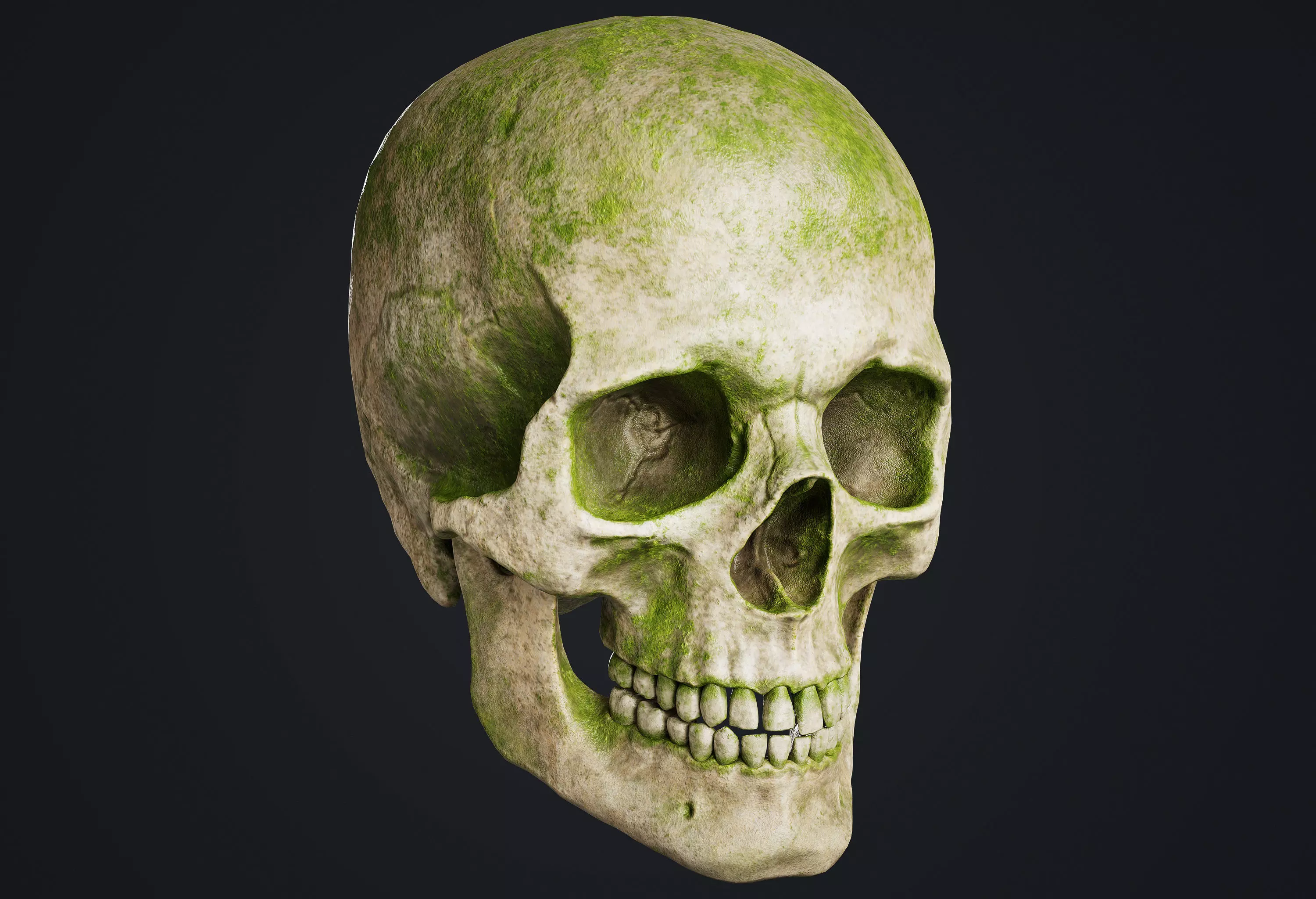 Skull Low-poly 3D model