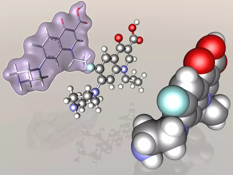 Ciprofloxacin molecule 3D model_0