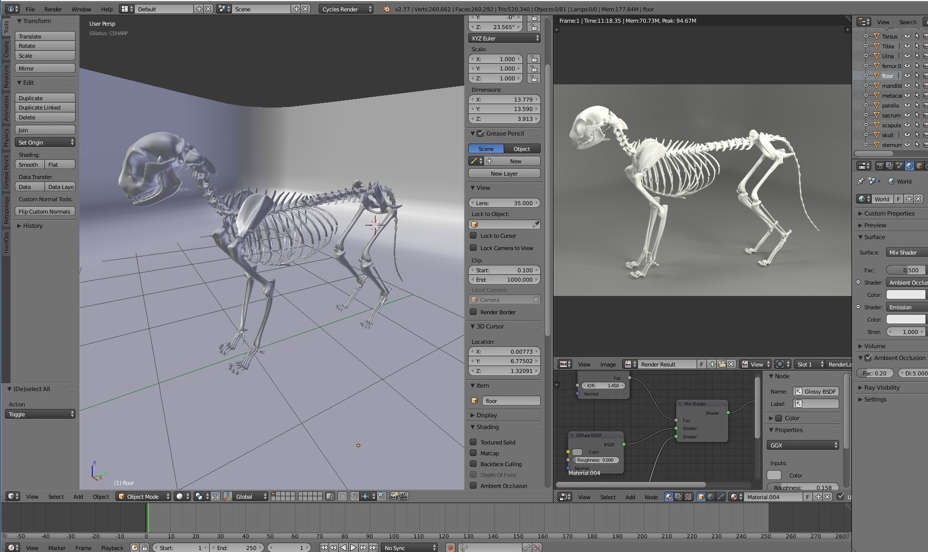 3D model of cat skeleton 3D model_1