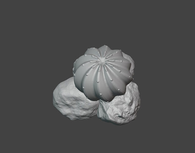 Round Cactus 3D print model