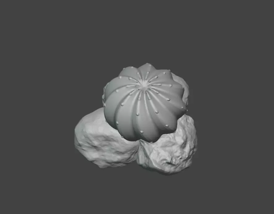 Round Cactus 3D print model