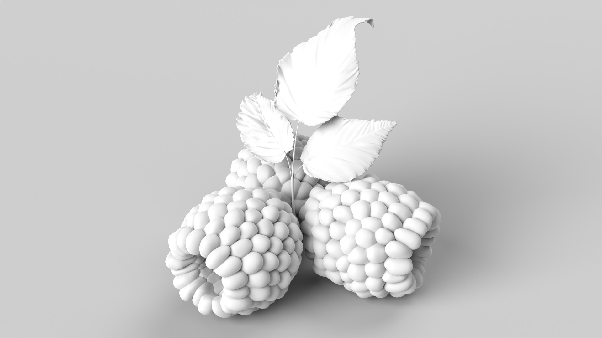 Raspberries 3D model_7