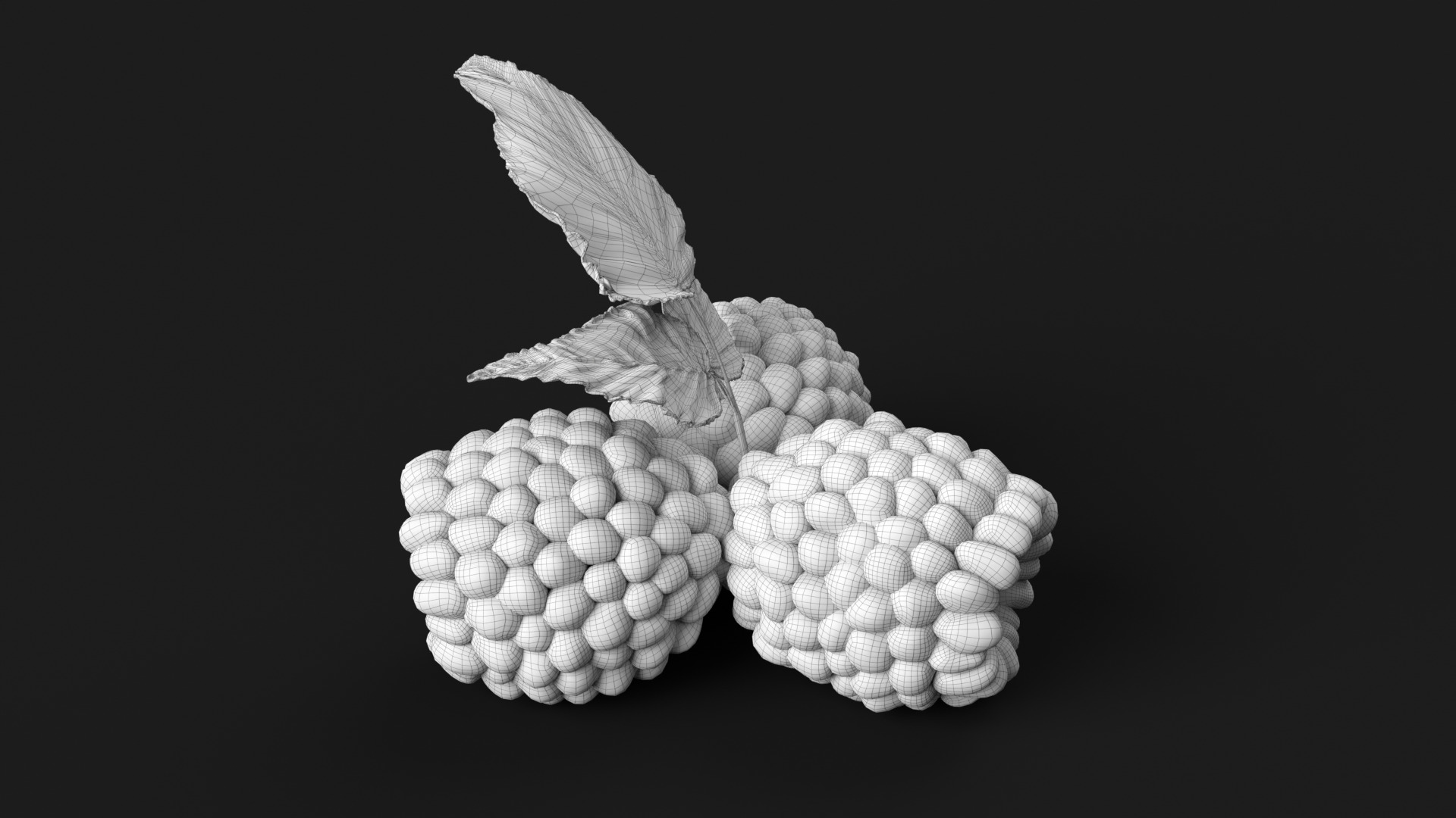 Raspberries 3D model_10