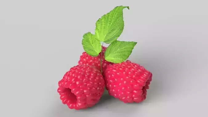 Raspberries 3D model Raspberries 3D model