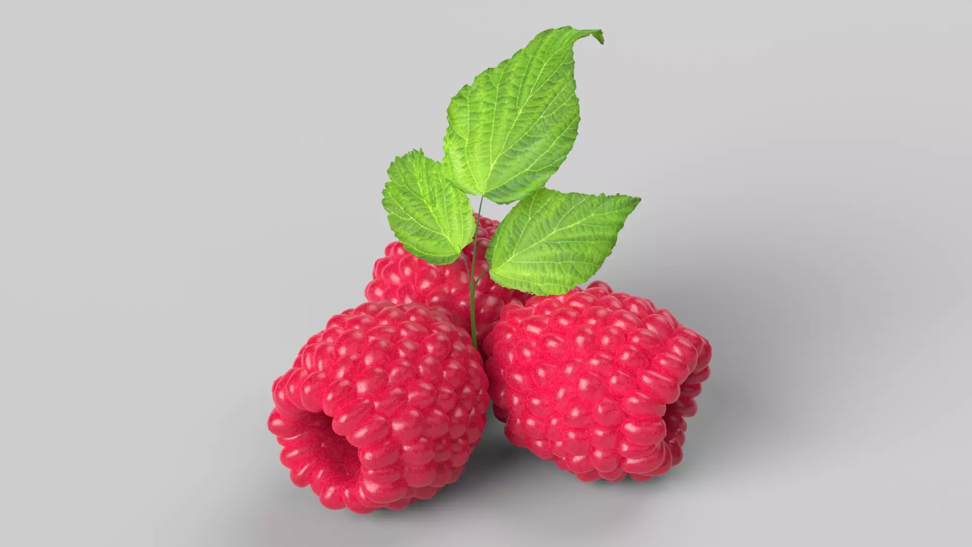 Raspberries 3D model_0