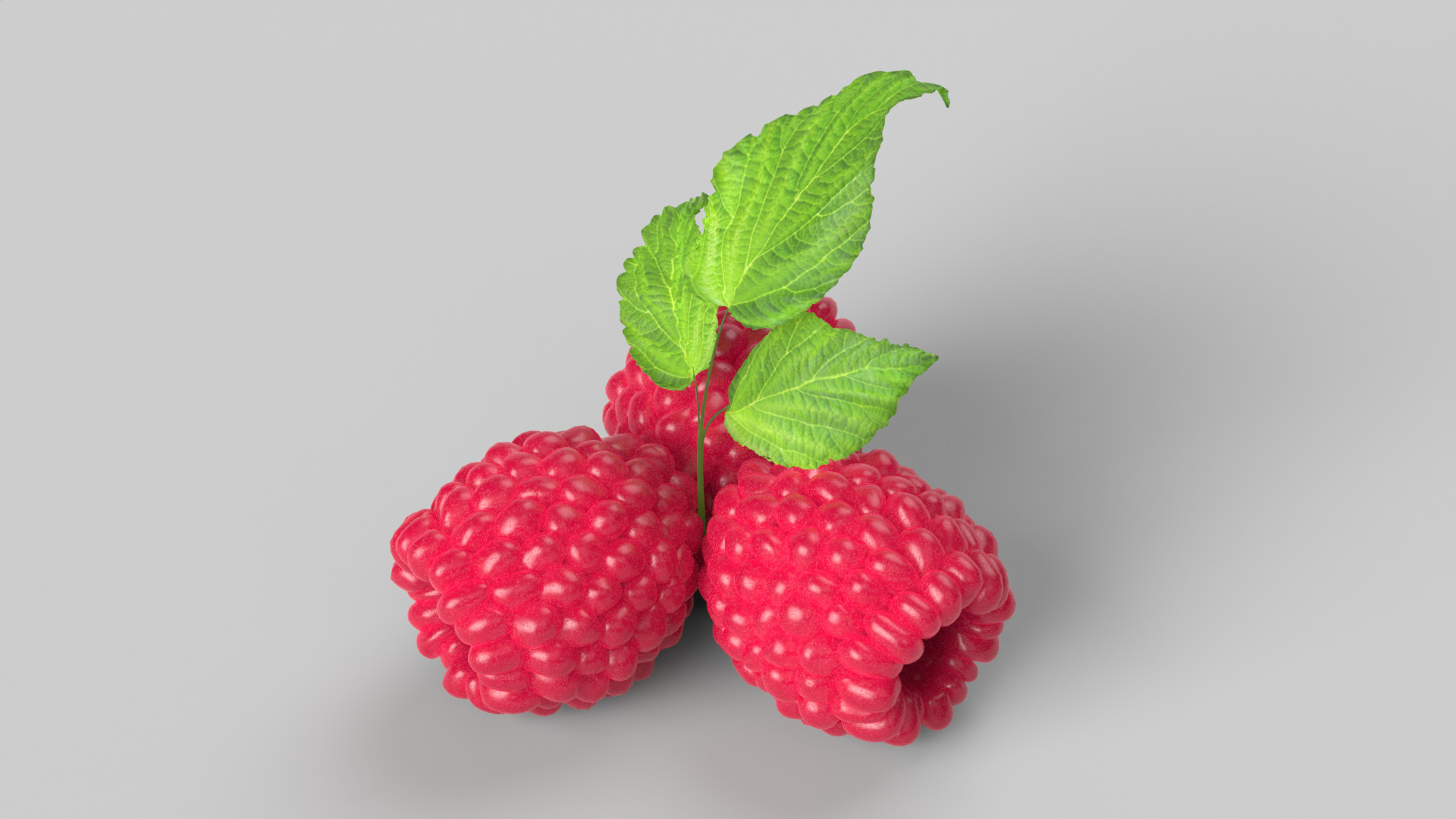 Raspberries 3D model_6