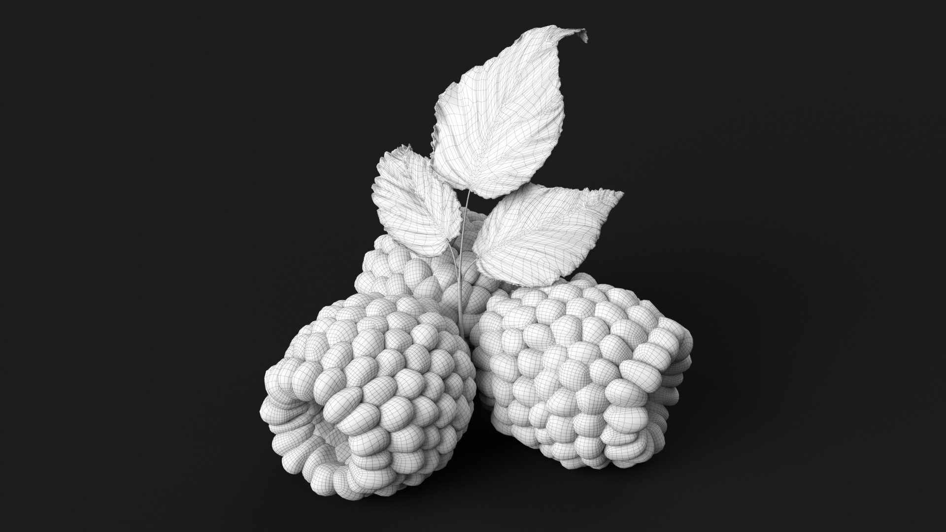 Raspberries 3D model_9