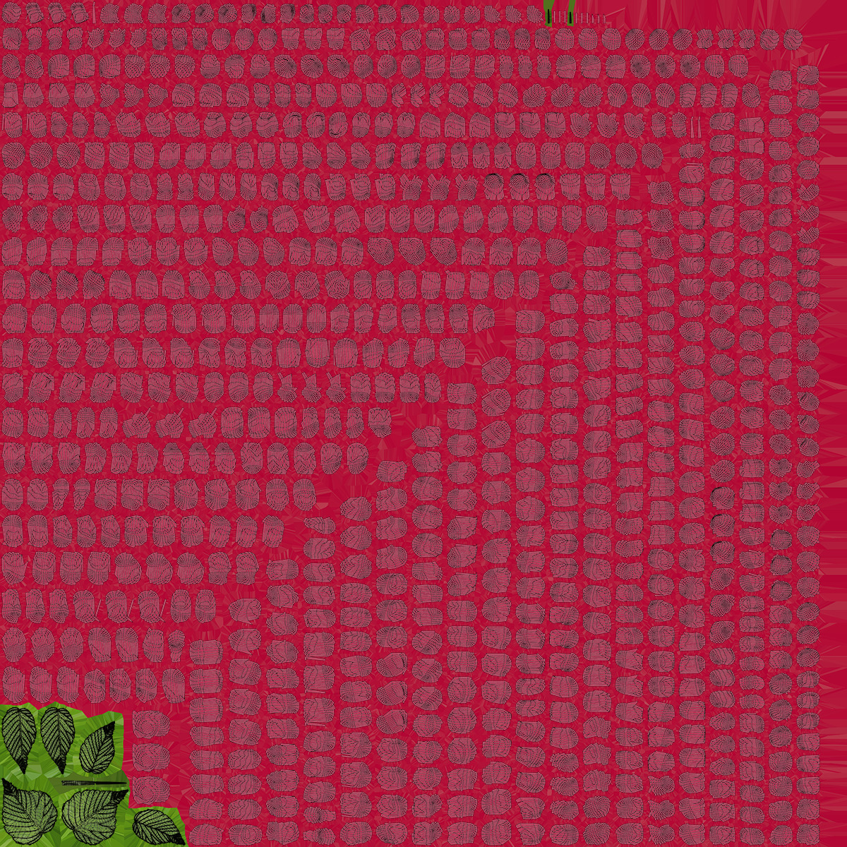 Raspberries 3D model_8