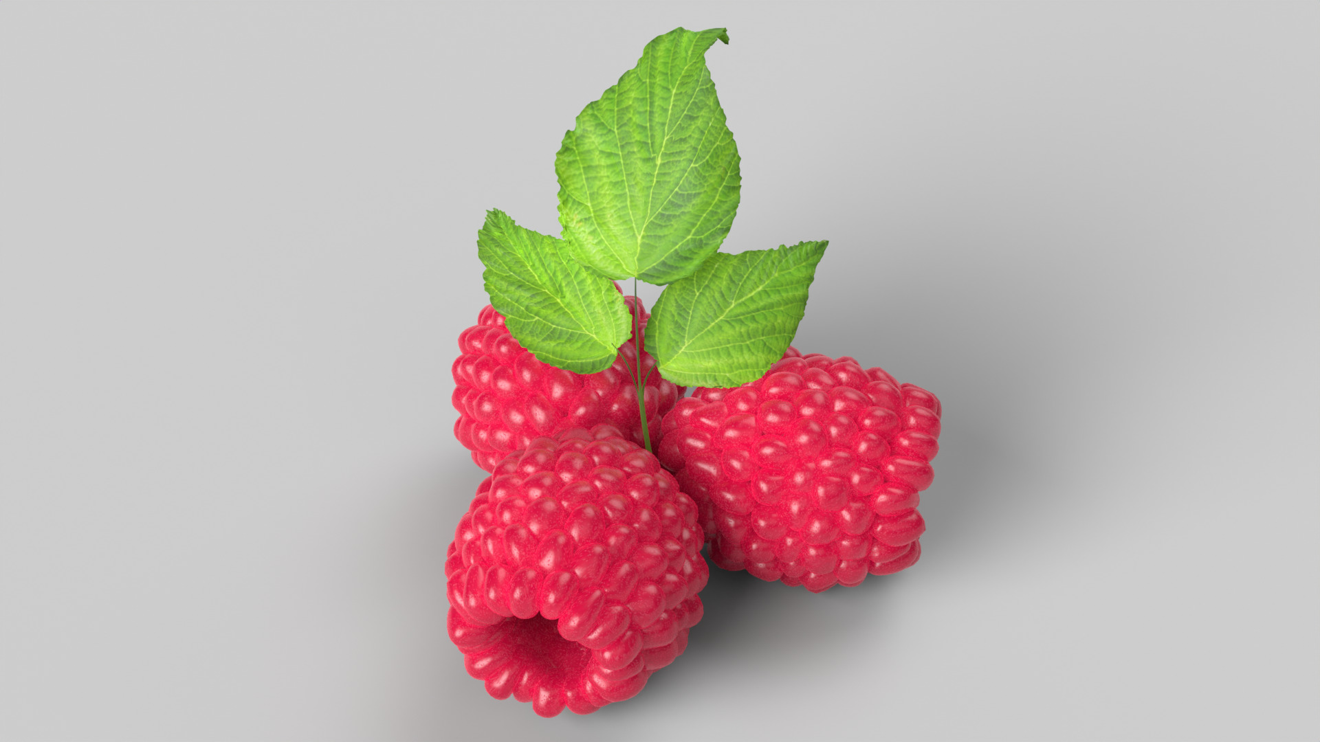Raspberries 3D model_1
