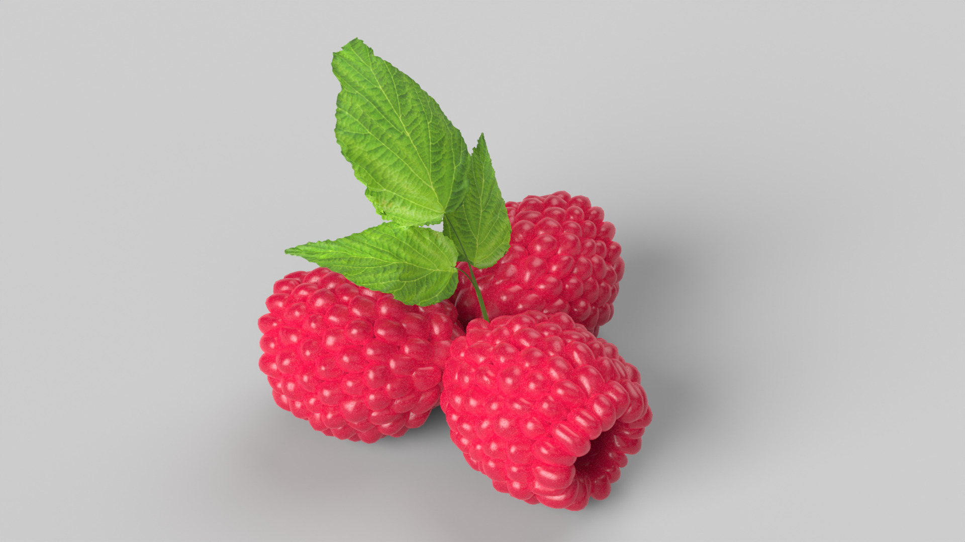 Raspberries 3D model_2