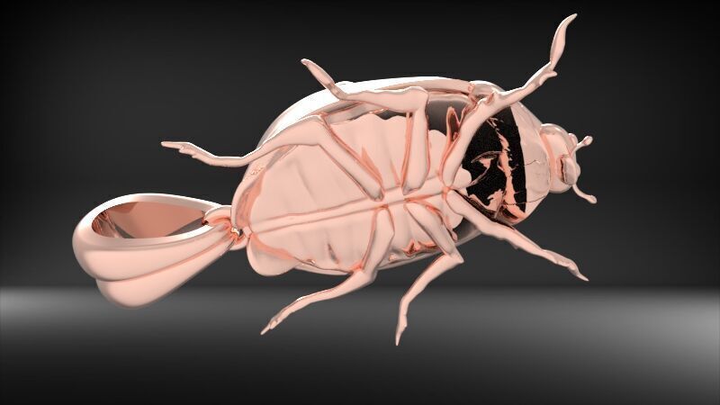 Ladybug Pendant Necklace charm Bracelet Jewelry 3D print model_18