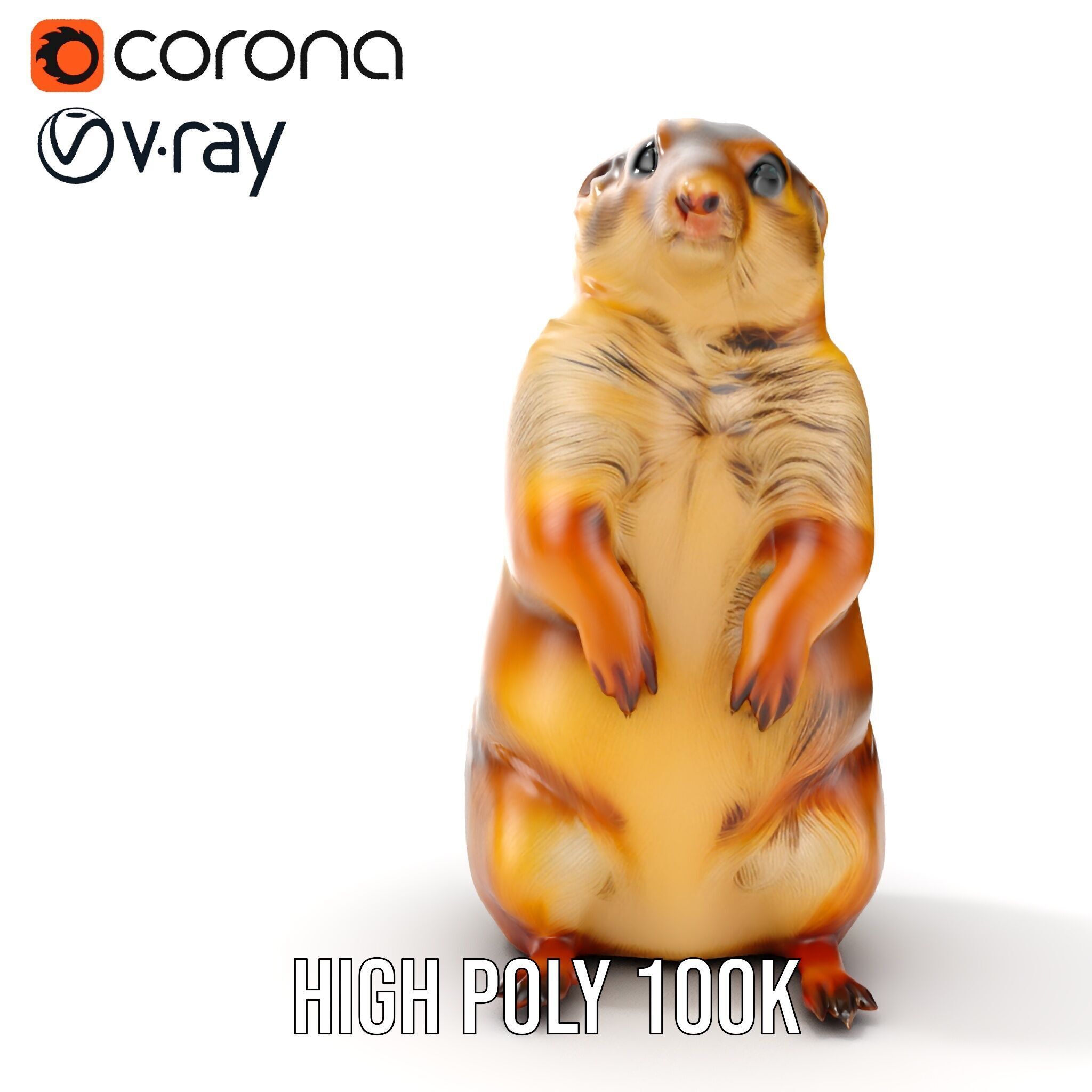 Prairie Dog D Model Pack with Detailed Fur and Textures Low-poly 3D model_33