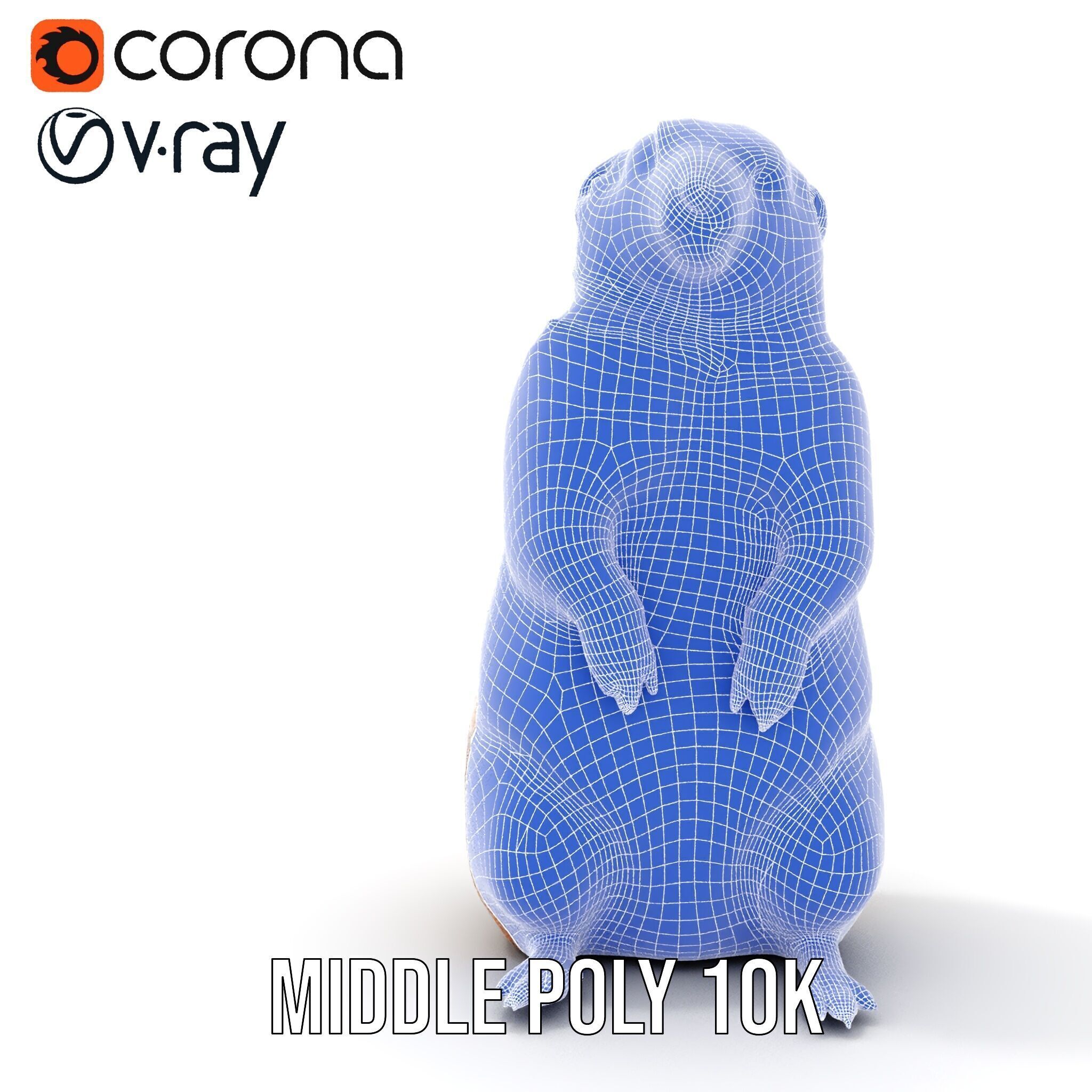 Prairie Dog D Model Pack with Detailed Fur and Textures Low-poly 3D model_24