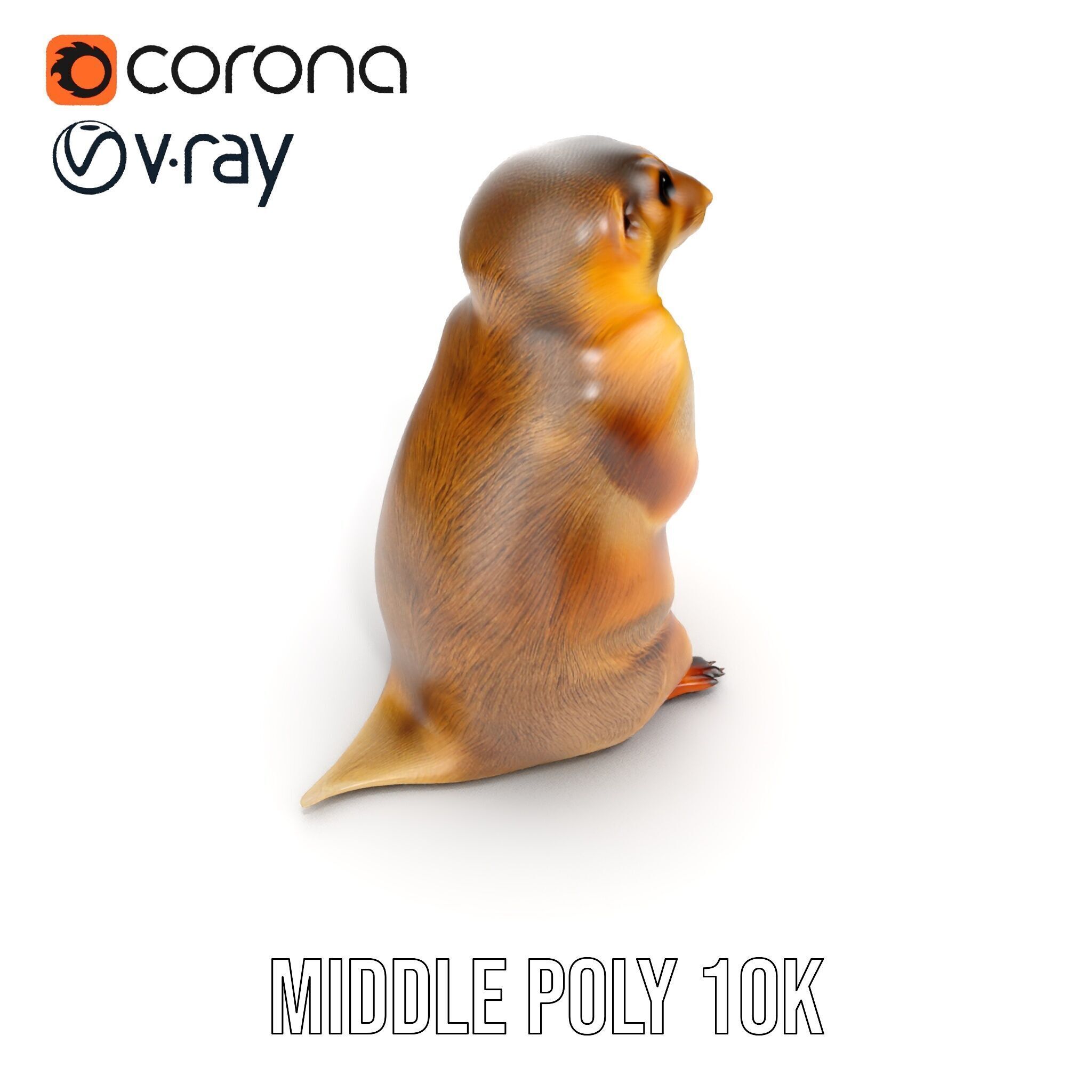 Prairie Dog D Model Pack with Detailed Fur and Textures Low-poly 3D model_21