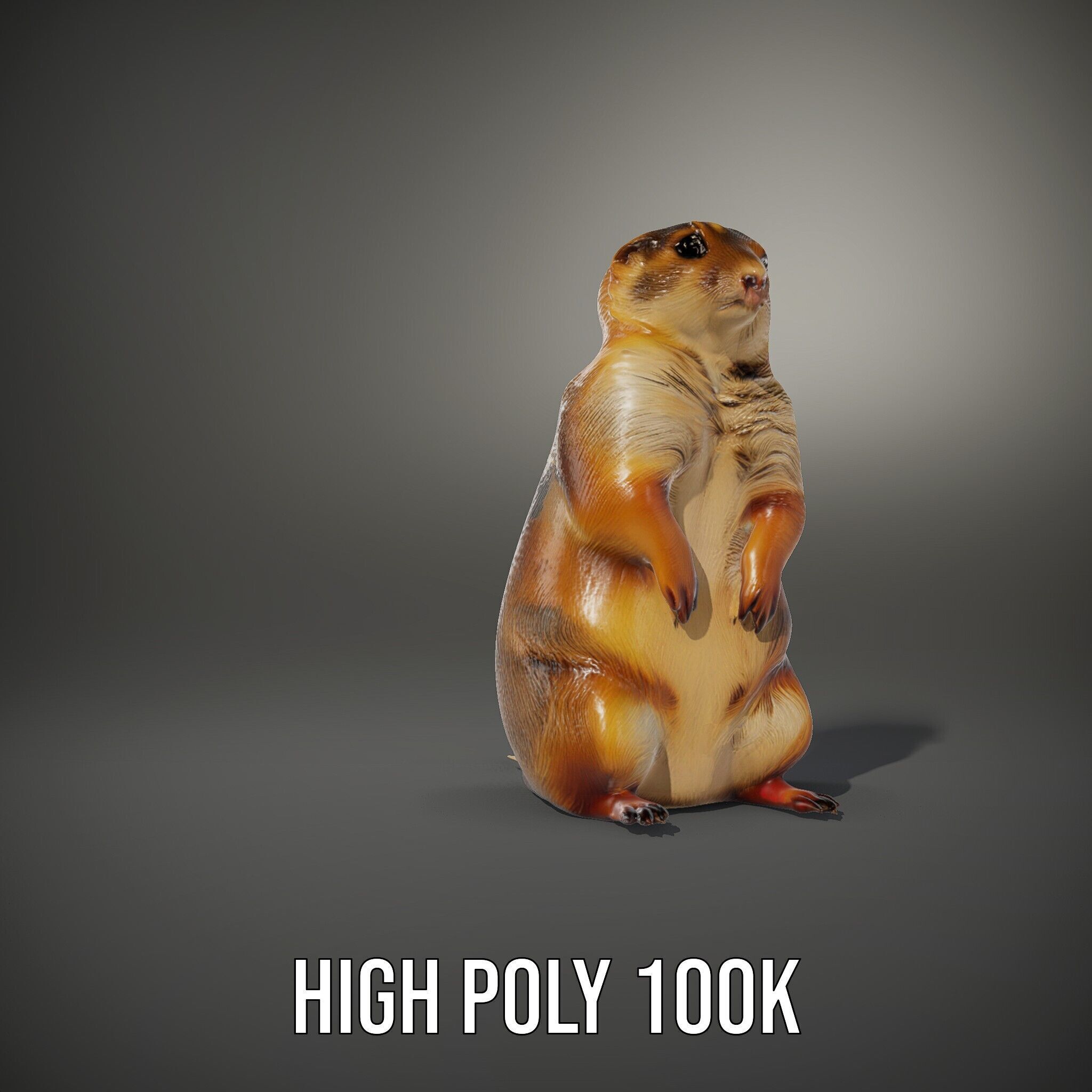Prairie Dog D Model Pack with Detailed Fur and Textures Low-poly 3D model_12