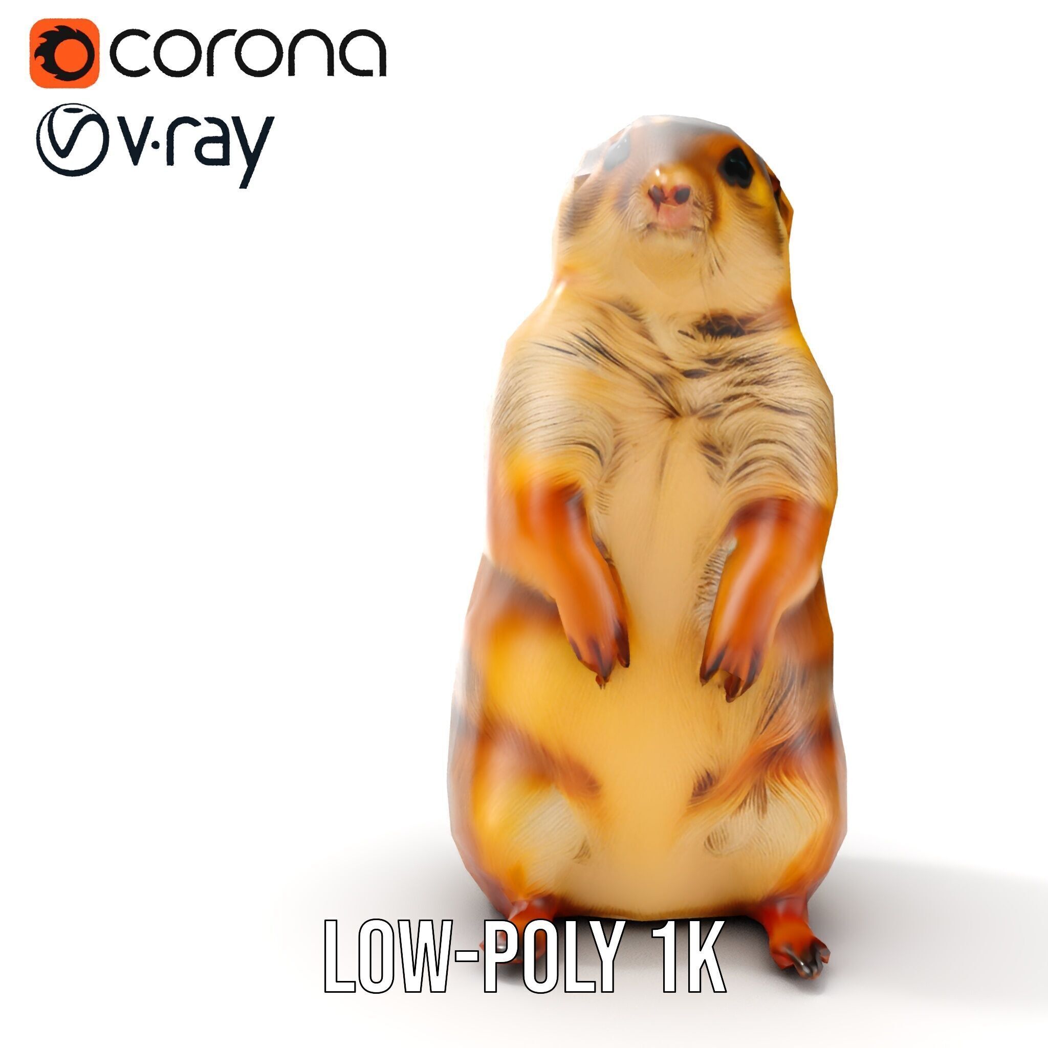Prairie Dog D Model Pack with Detailed Fur and Textures Low-poly 3D model_14