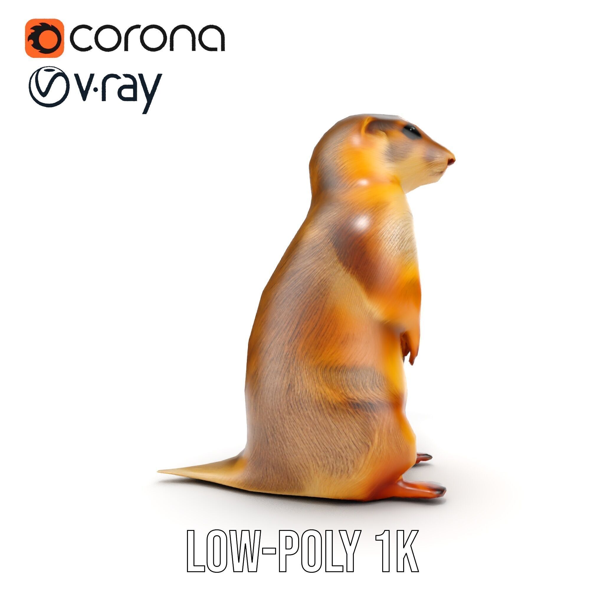 Prairie Dog D Model Pack with Detailed Fur and Textures Low-poly 3D model_8