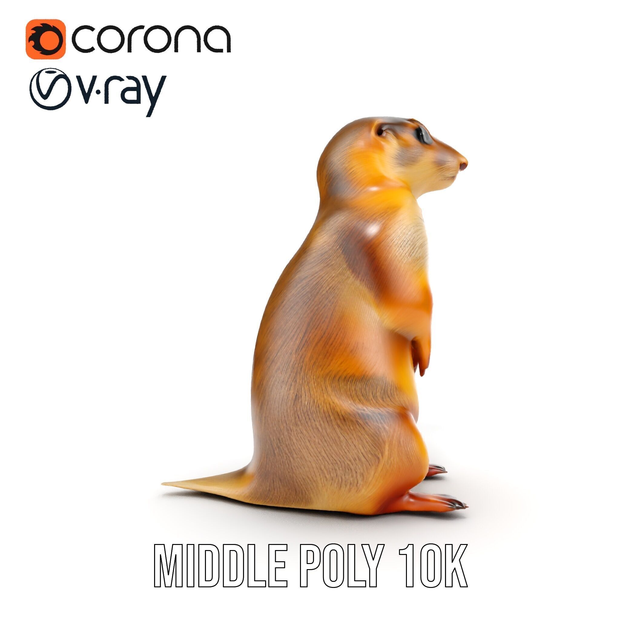 Prairie Dog D Model Pack with Detailed Fur and Textures Low-poly 3D model_7