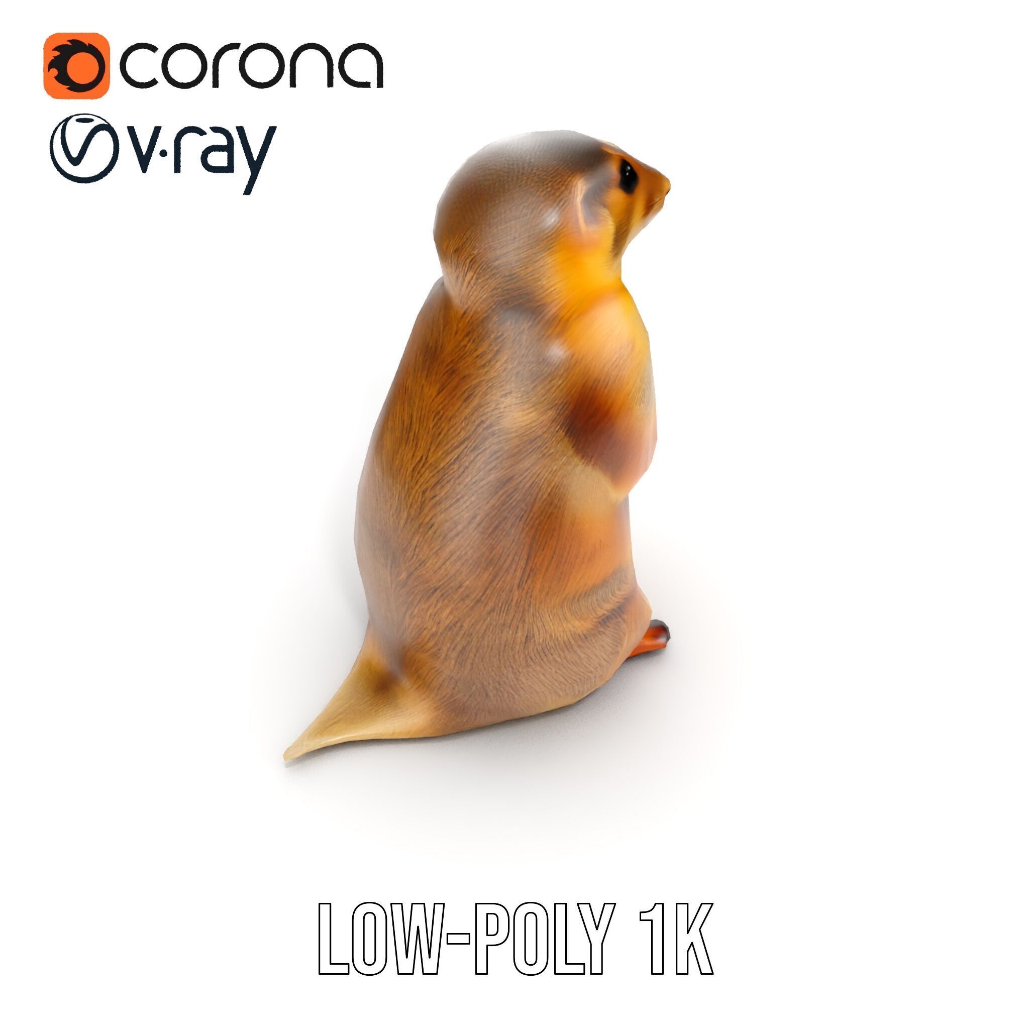 Prairie Dog D Model Pack with Detailed Fur and Textures Low-poly 3D model_25