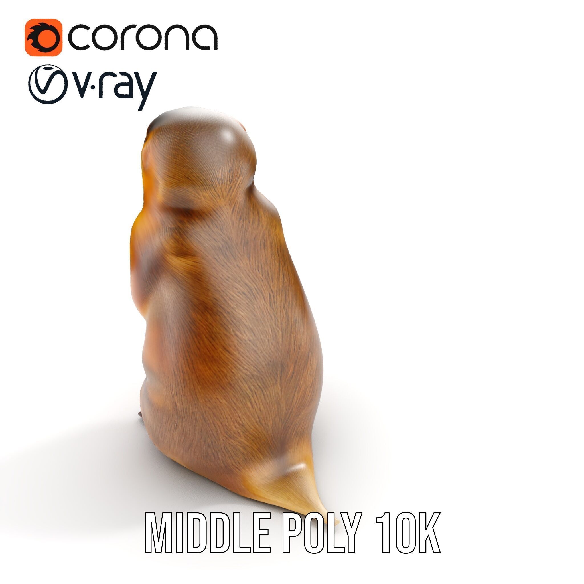 Prairie Dog D Model Pack with Detailed Fur and Textures Low-poly 3D model_13