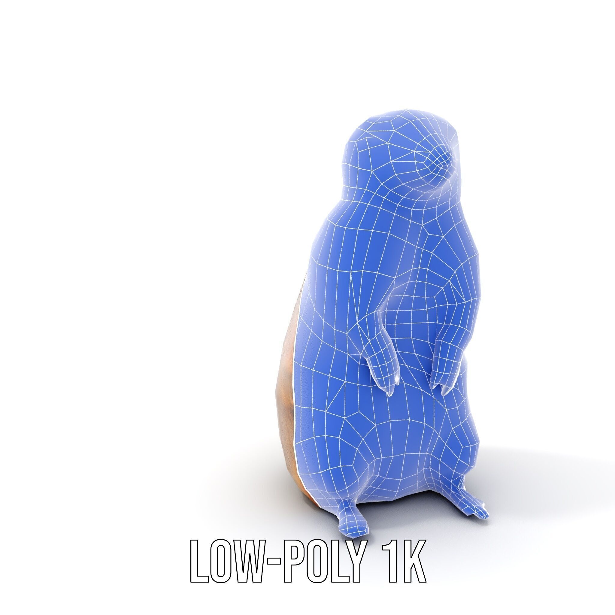 Prairie Dog D Model Pack with Detailed Fur and Textures Low-poly 3D model_17