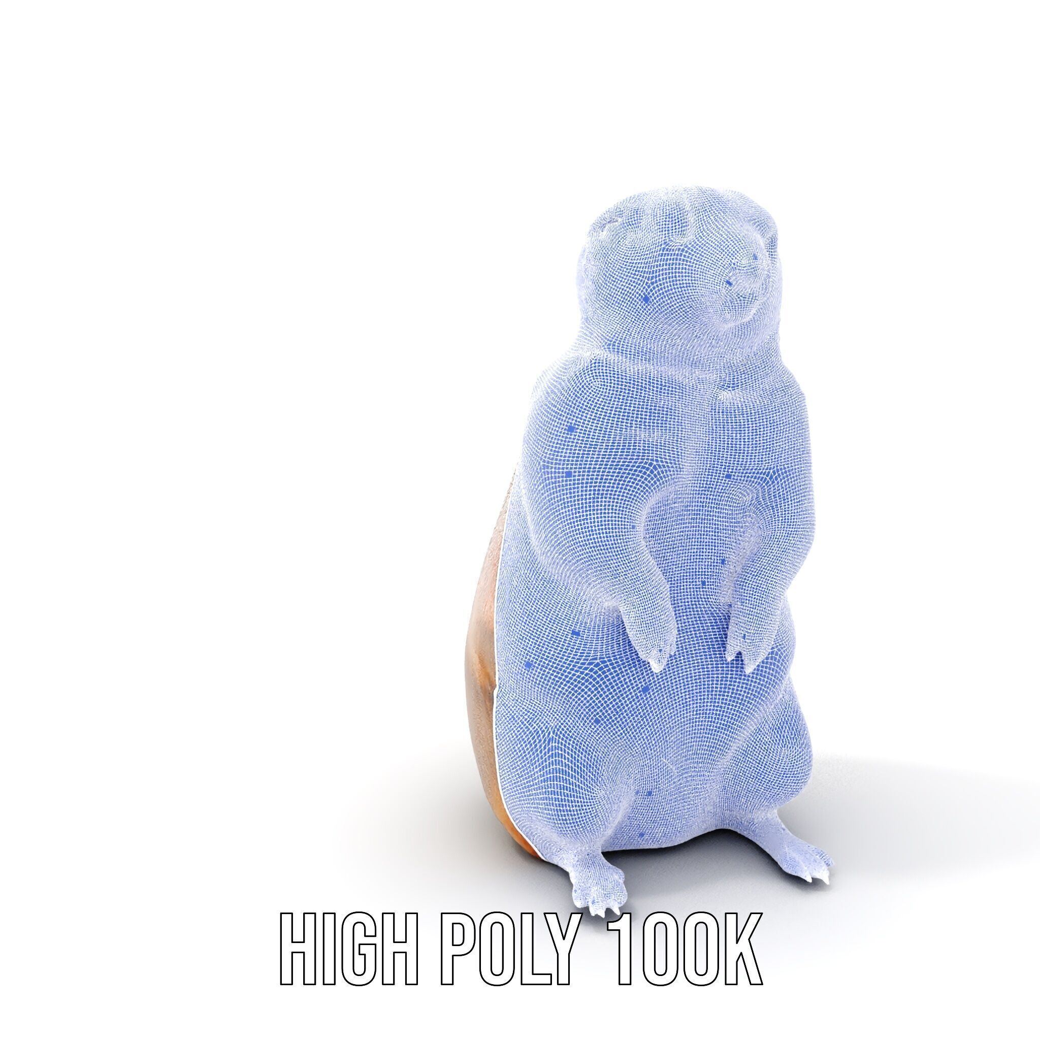 Prairie Dog D Model Pack with Detailed Fur and Textures Low-poly 3D model_5