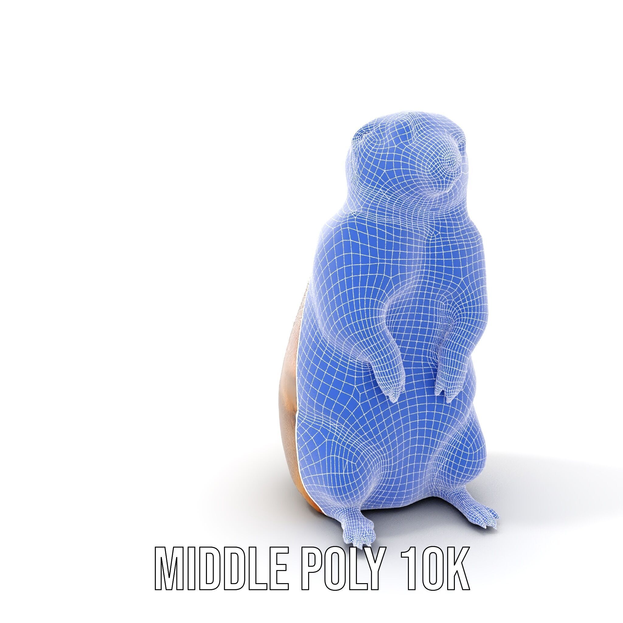 Prairie Dog D Model Pack with Detailed Fur and Textures Low-poly 3D model_10