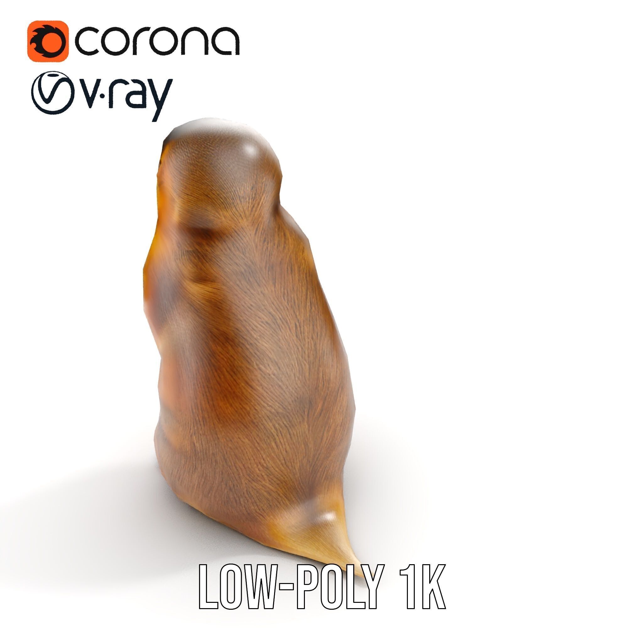 Prairie Dog D Model Pack with Detailed Fur and Textures Low-poly 3D model_19