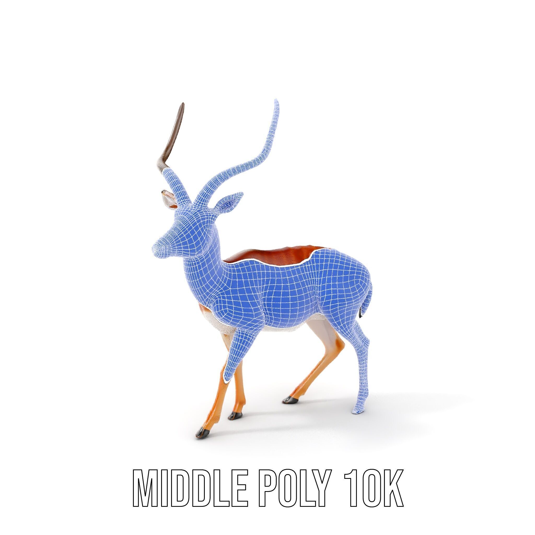 Antelope D model pack Low-poly 3D model_21