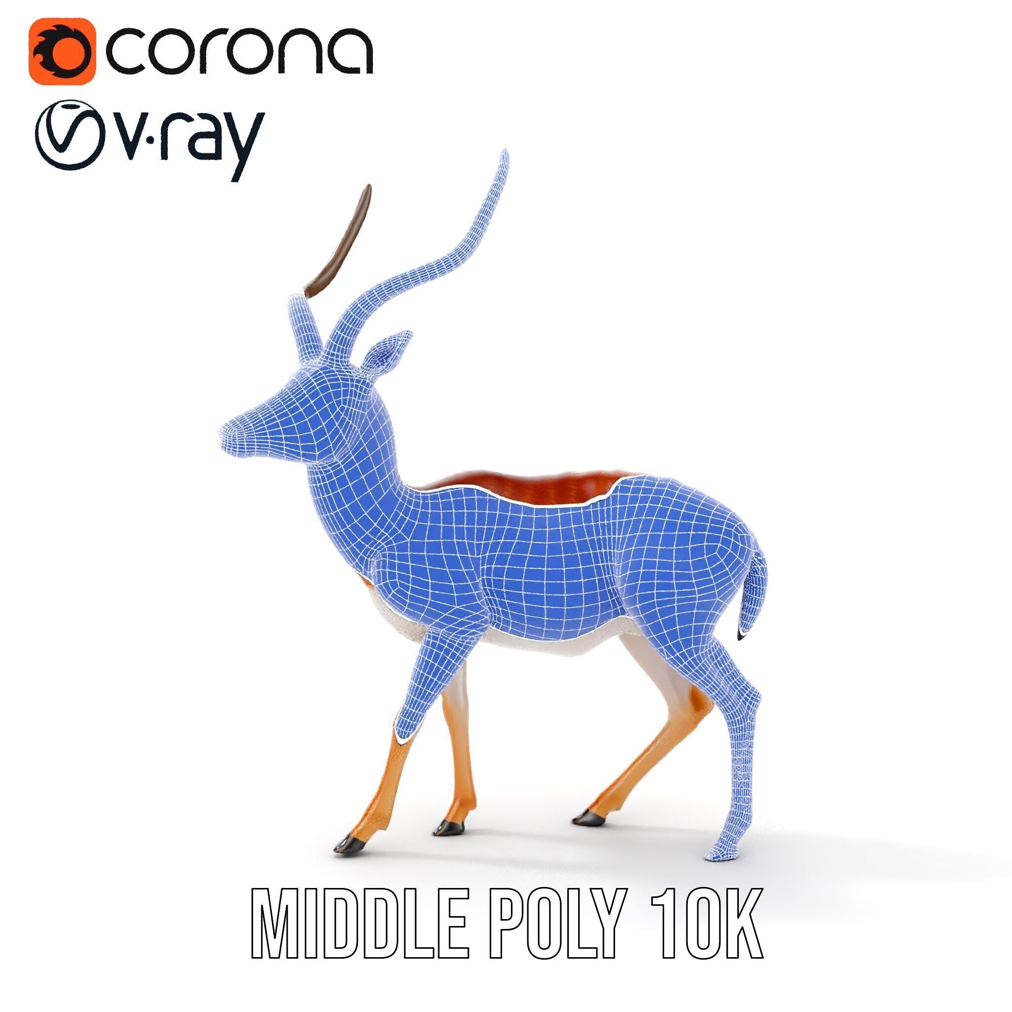 Antelope D model pack Low-poly 3D model_32