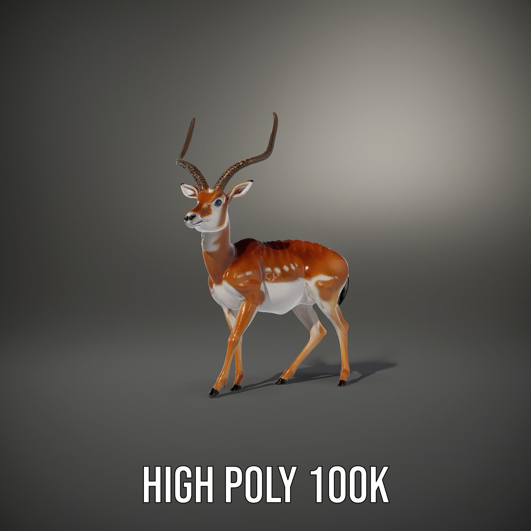 Antelope D model pack Low-poly 3D model_9