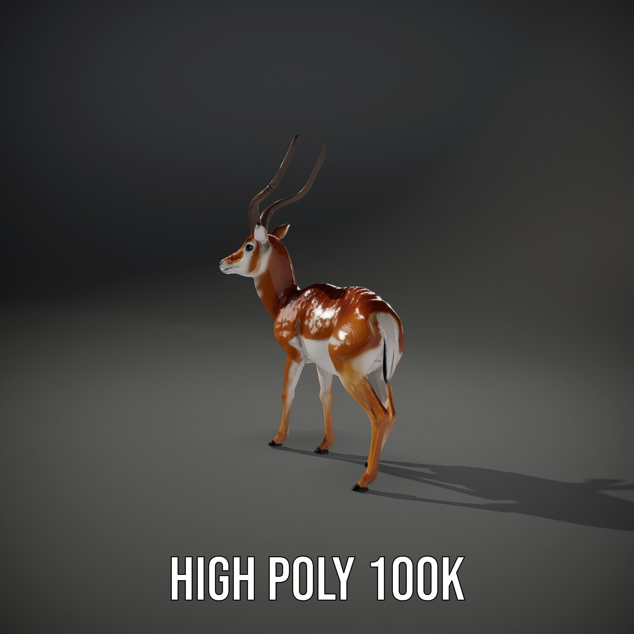 Antelope D model pack Low-poly 3D model_15