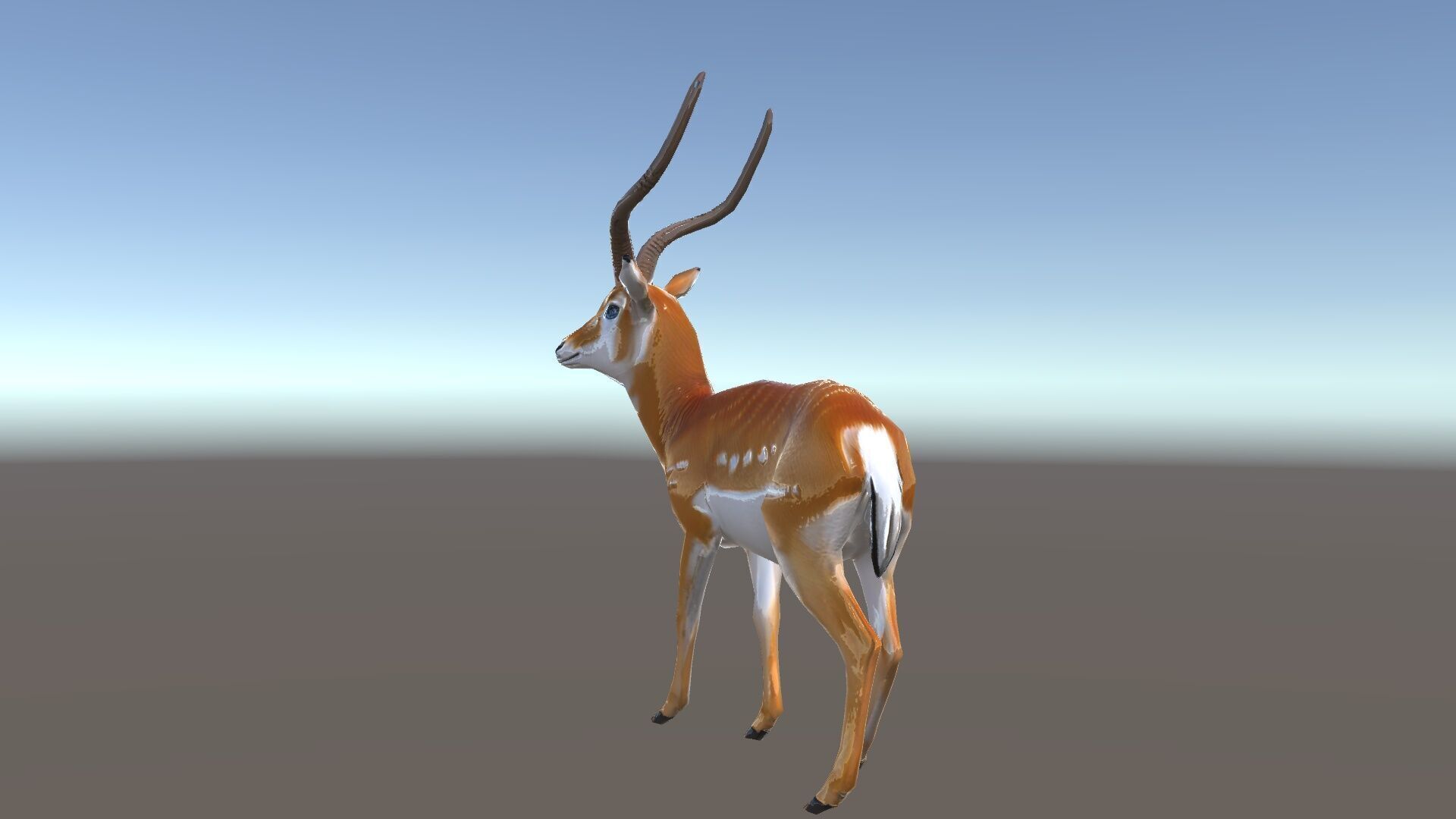 Antelope D model pack Low-poly 3D model_36