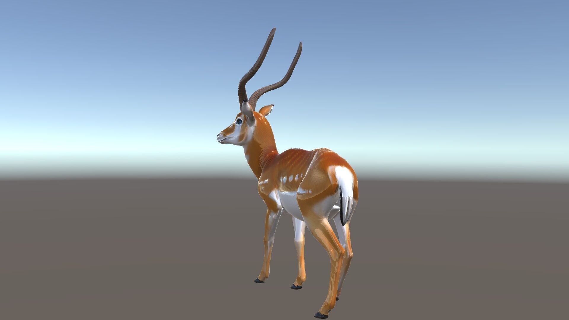Antelope D model pack Low-poly 3D model_35