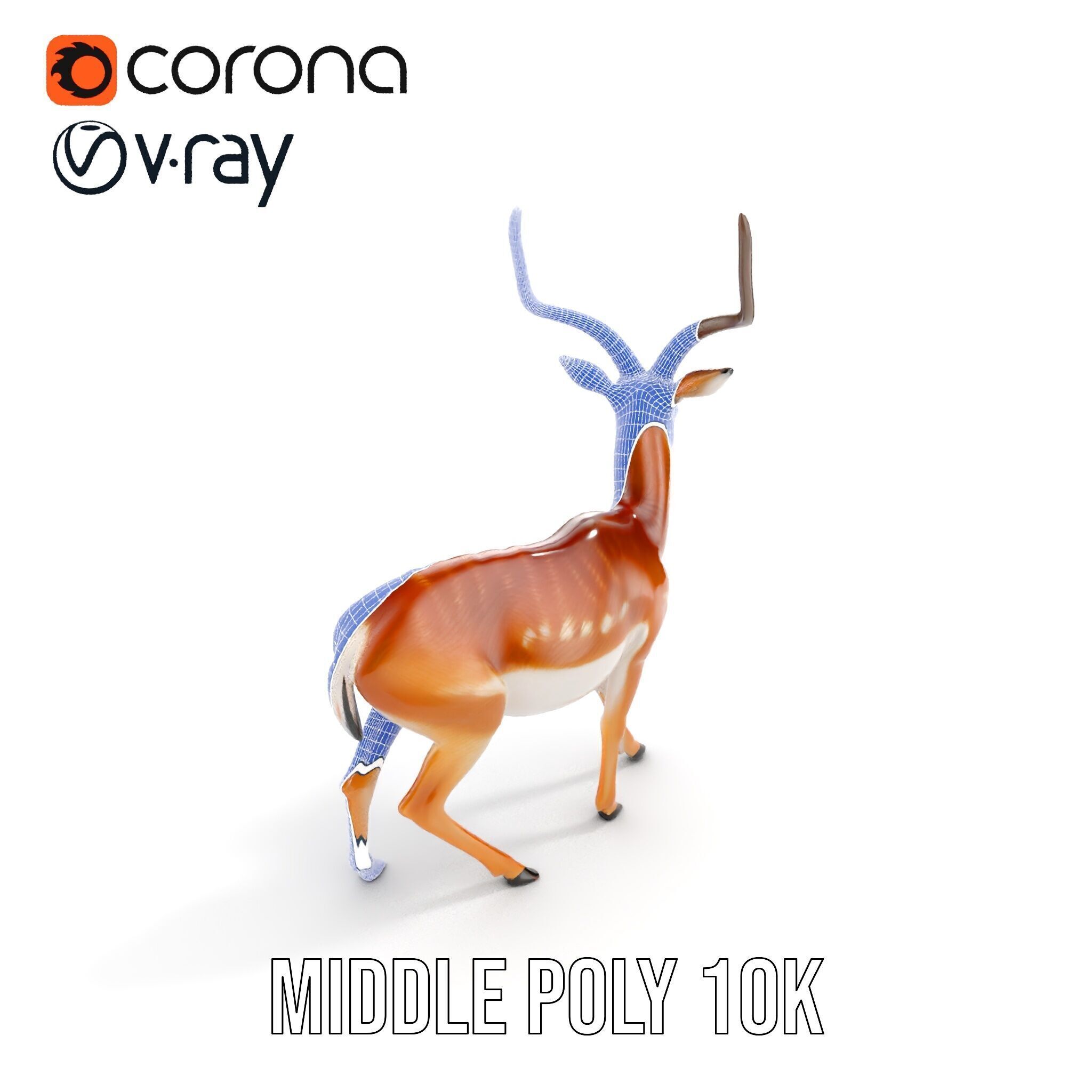 Antelope D model pack Low-poly 3D model_29