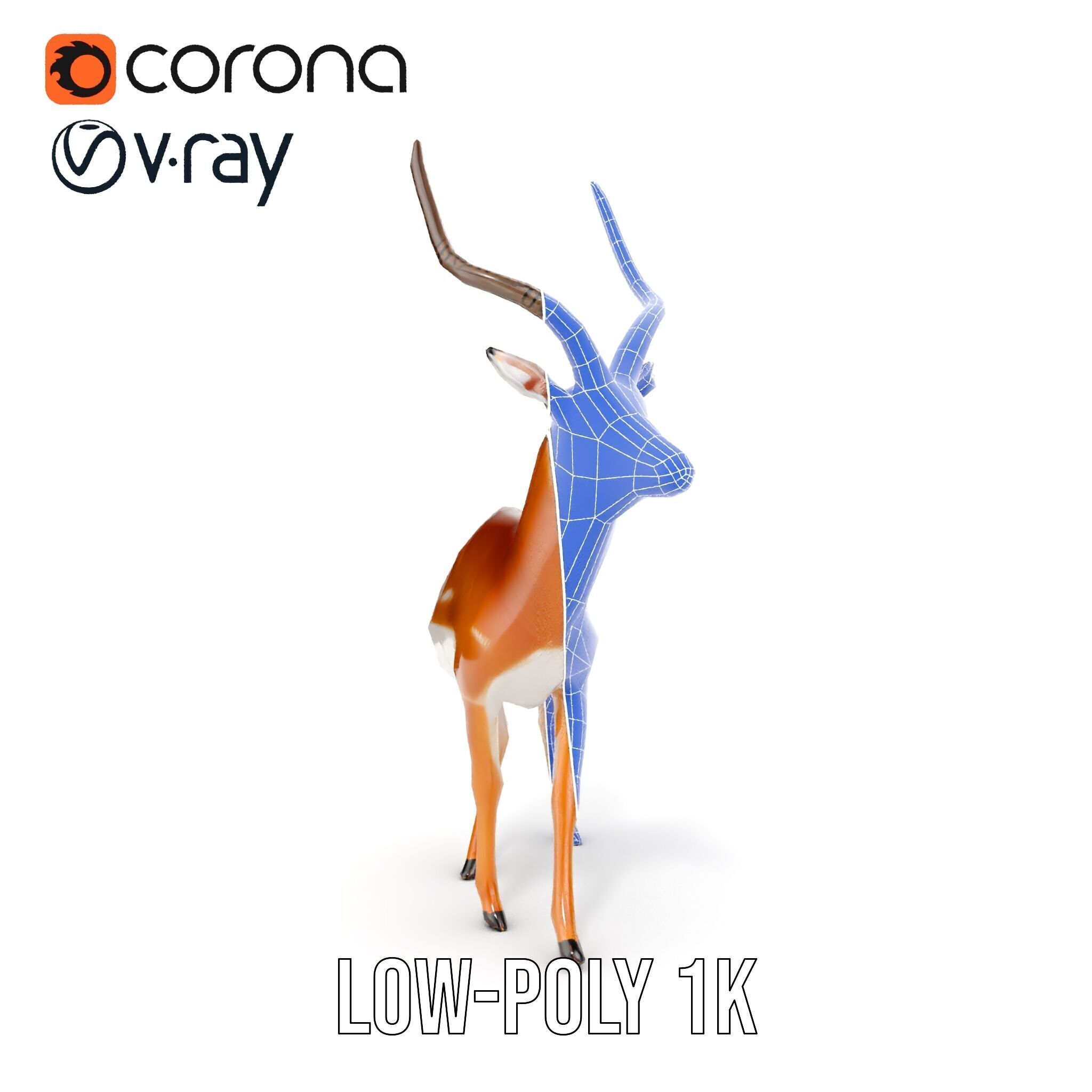 Antelope D model pack Low-poly 3D model_30