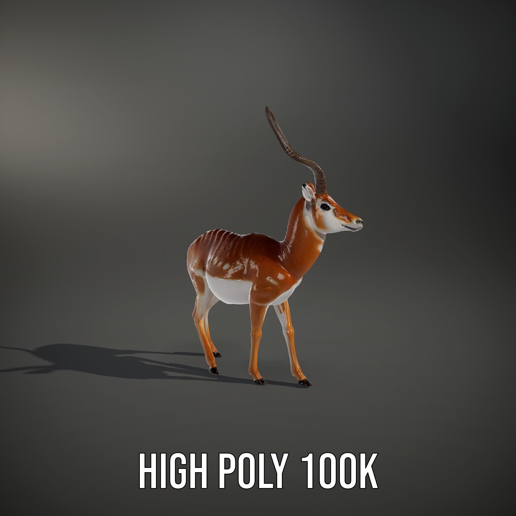 Antelope D model pack Low-poly 3D model_12