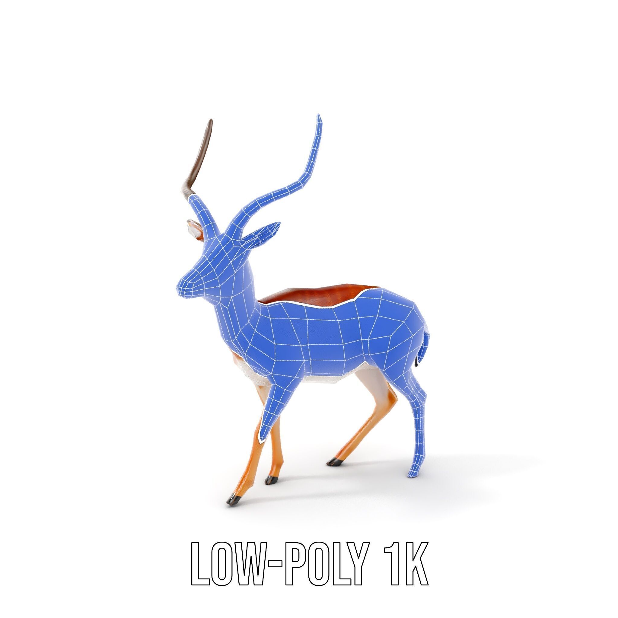 Antelope D model pack Low-poly 3D model_28