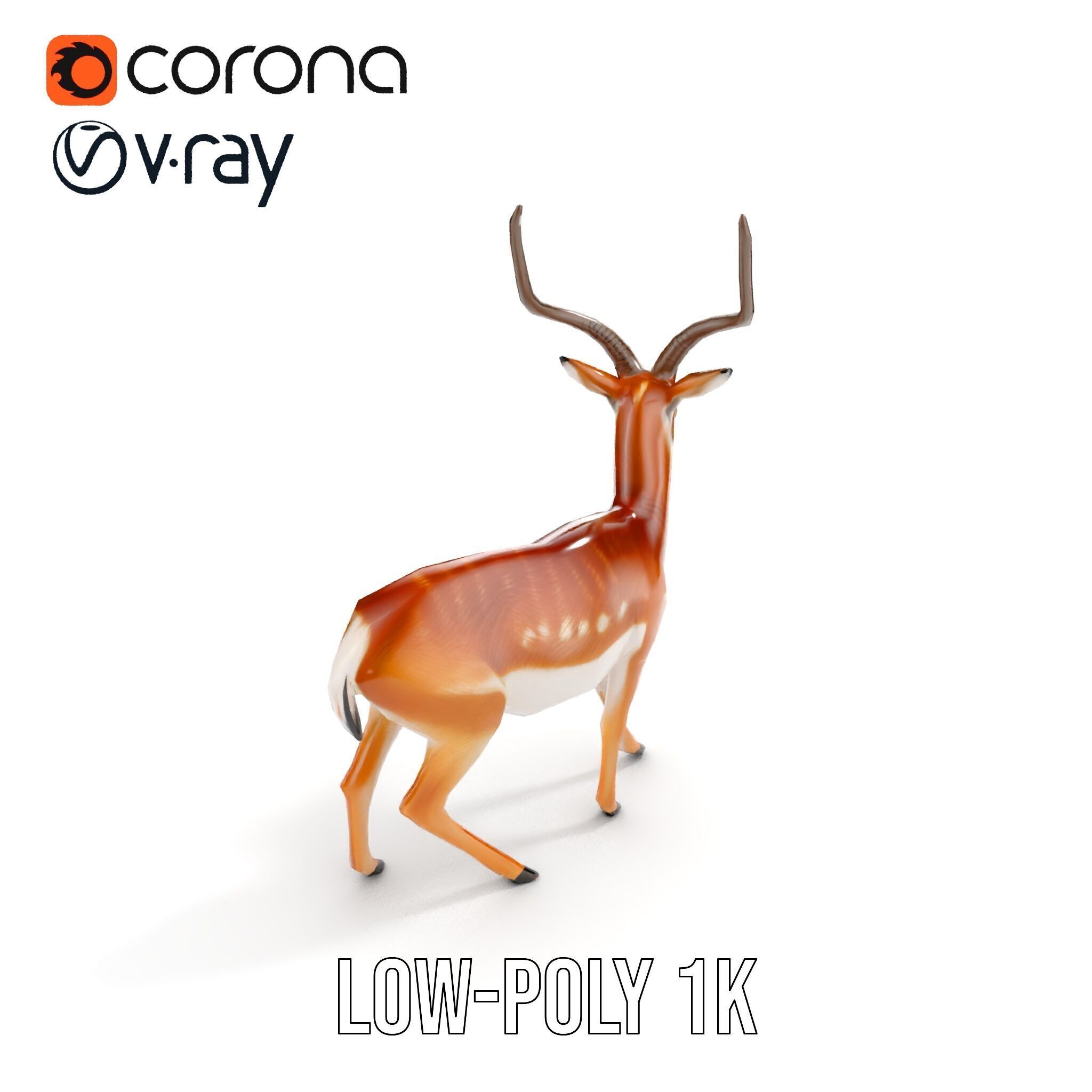 Antelope D model pack Low-poly 3D model_14