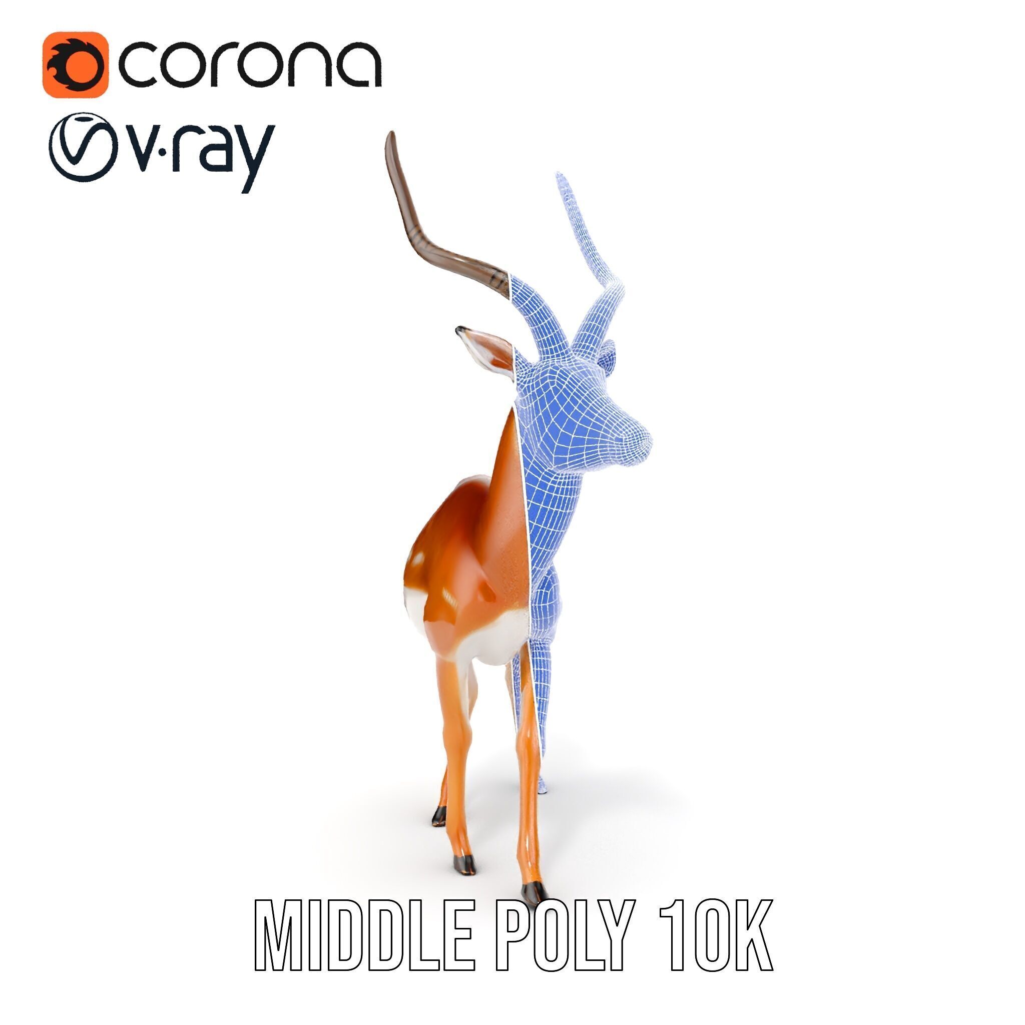 Antelope D model pack Low-poly 3D model_13