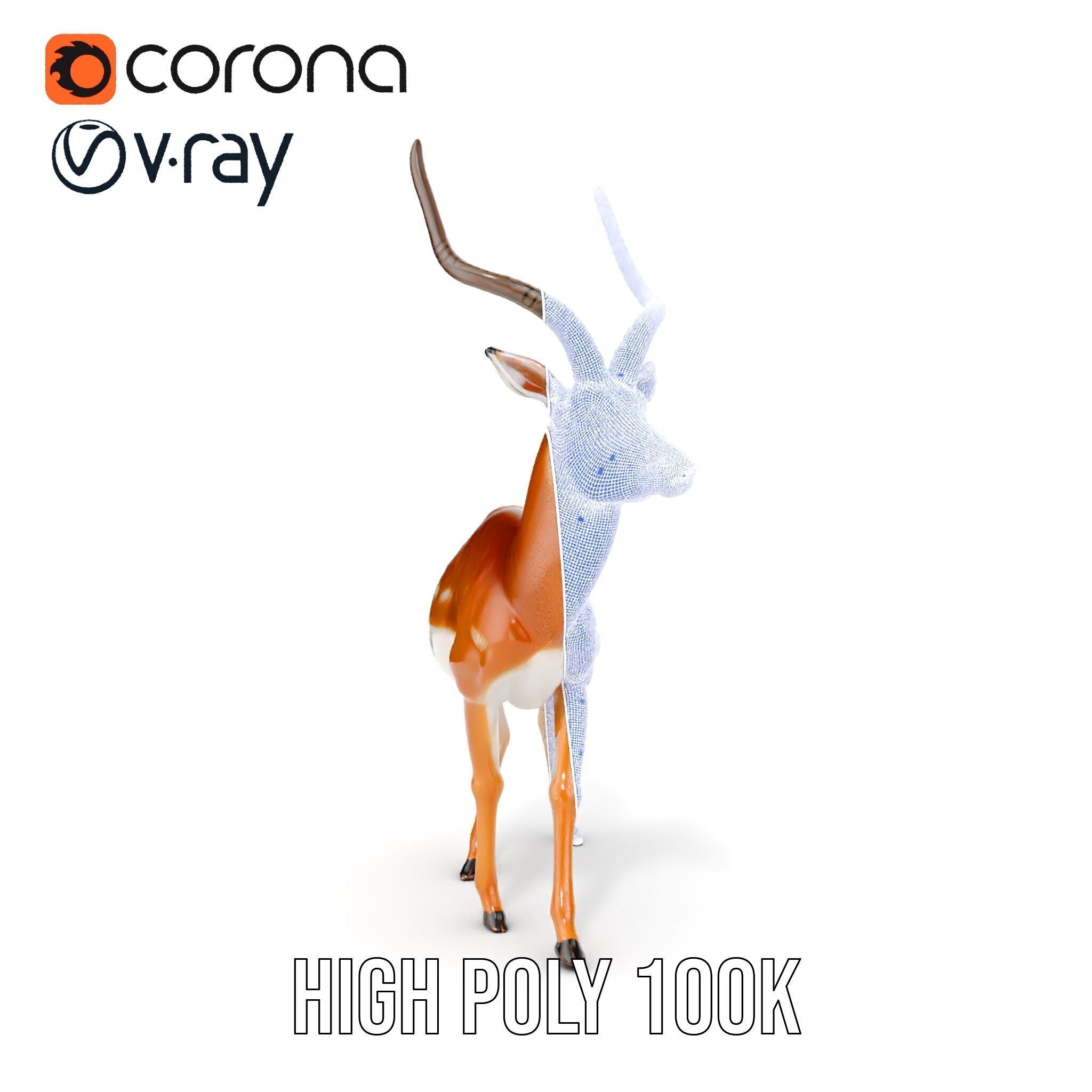 Antelope D model pack Low-poly 3D model_39