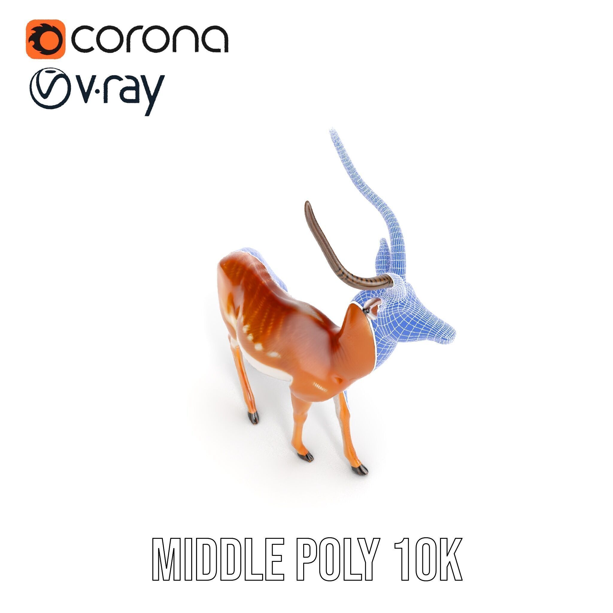 Antelope D model pack Low-poly 3D model_16